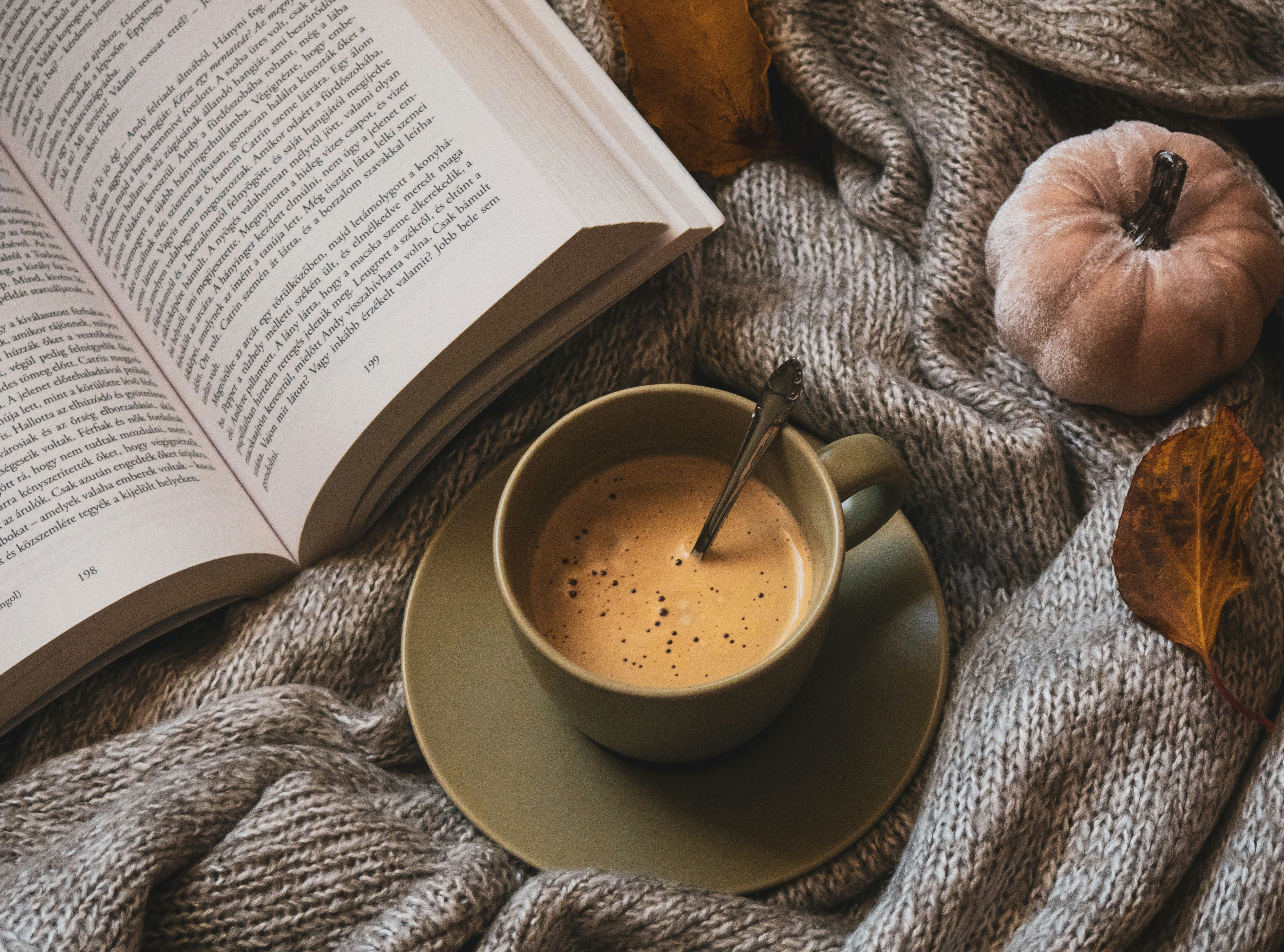 book, pumpkin, and coffee on cozy blanket