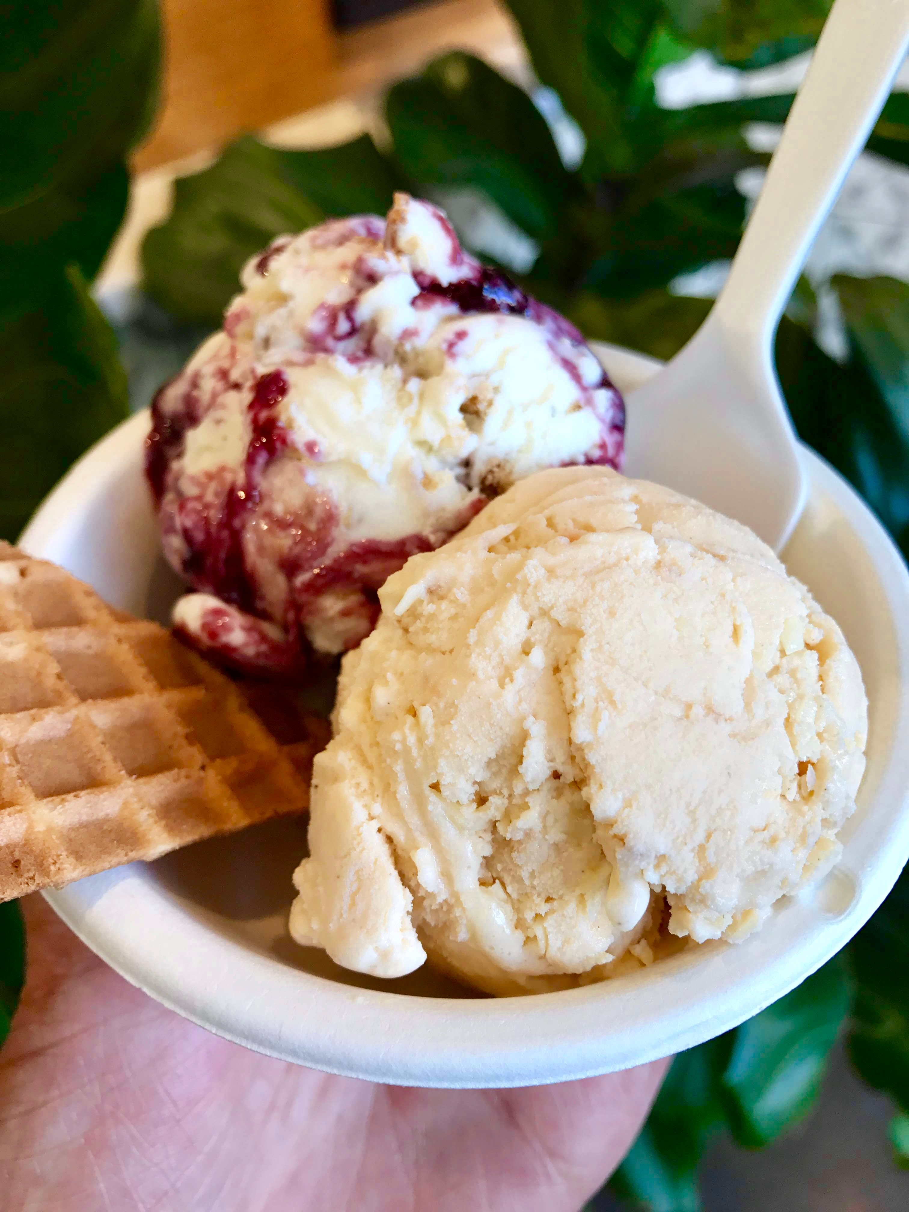 img1475jpg by Eryn Lin?width=698&height=466&fit=crop&auto=webp&dpr=4