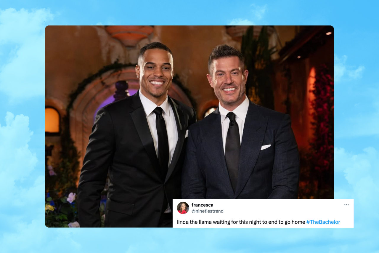 bachelor season 29 recap memes?width=698&height=466&fit=crop&auto=webp&dpr=4