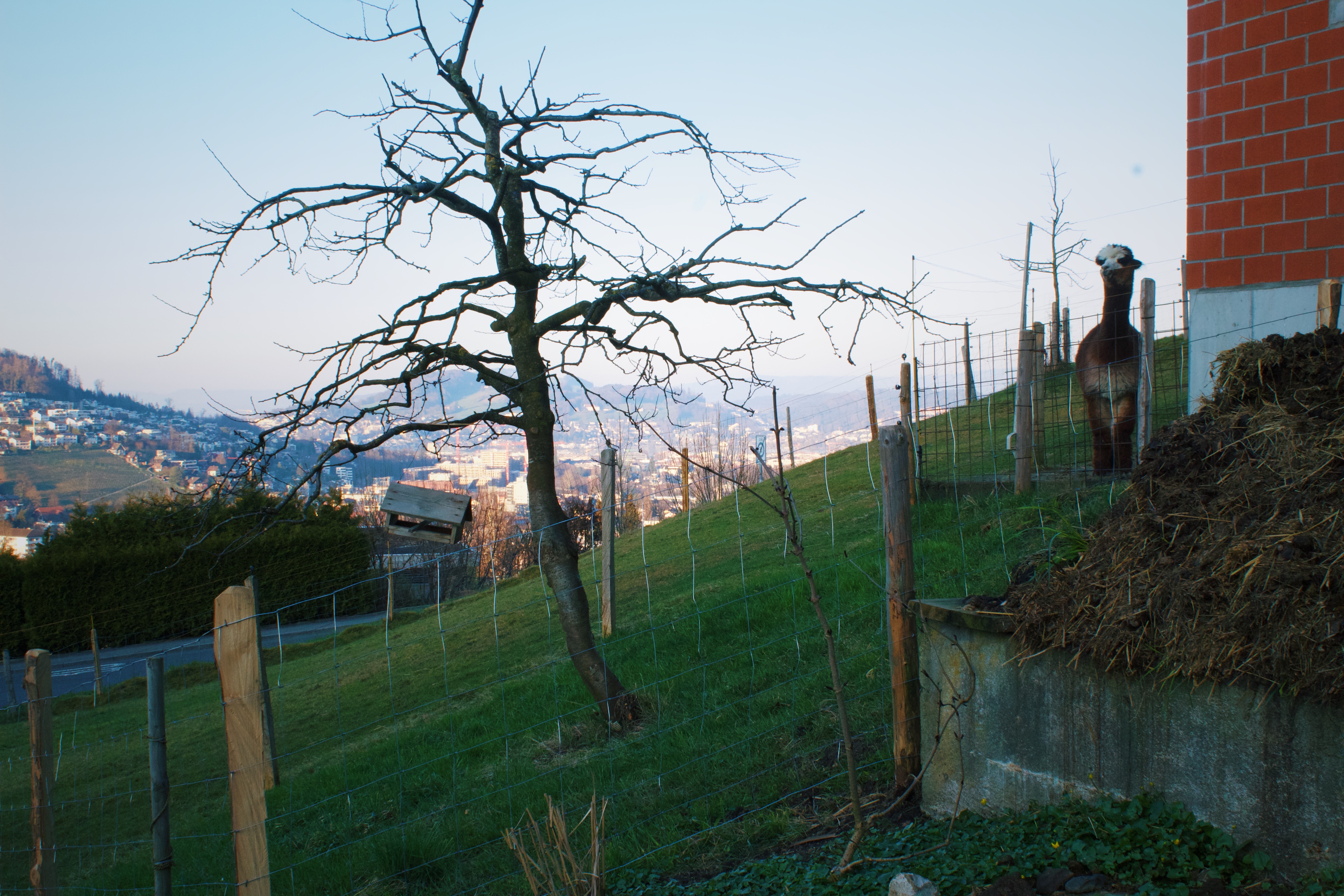 countryside of Lucerne, Switzerland
