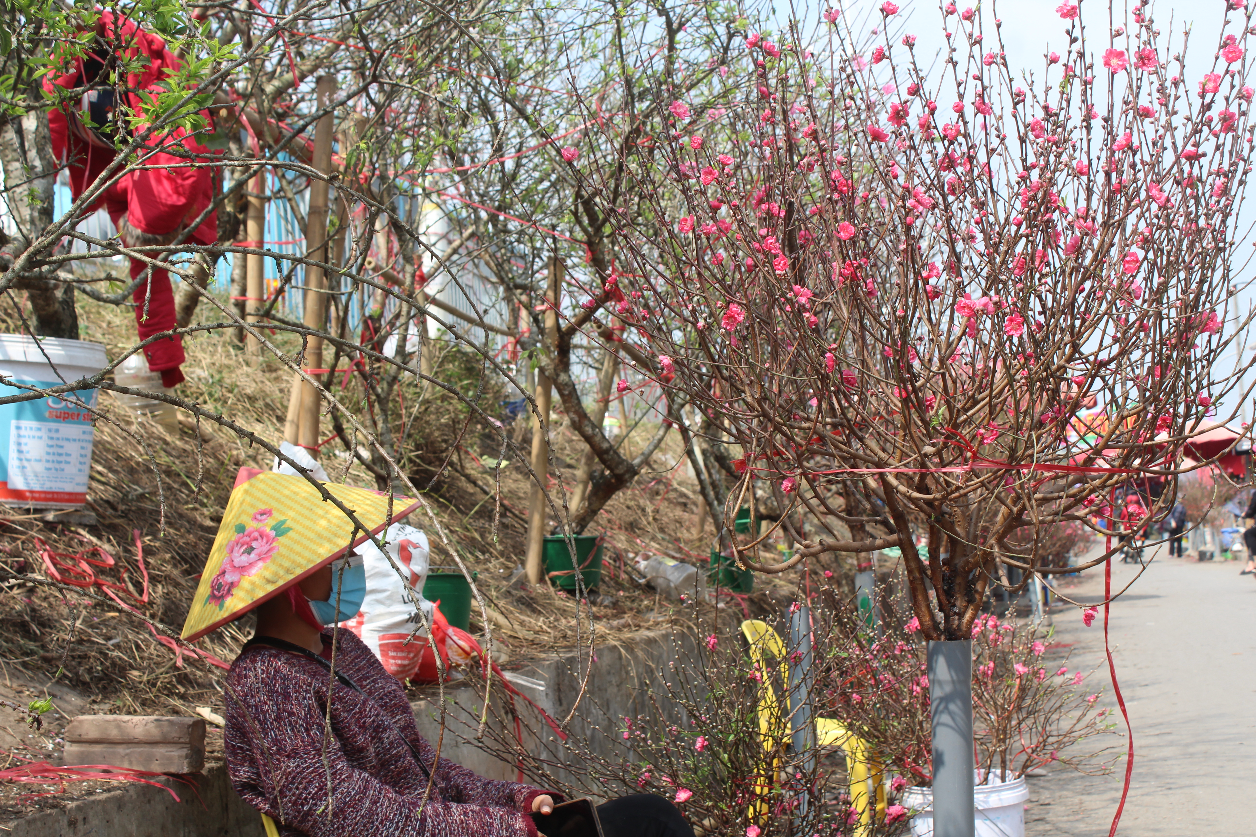 img 2294jpg by Vuong Nguyen