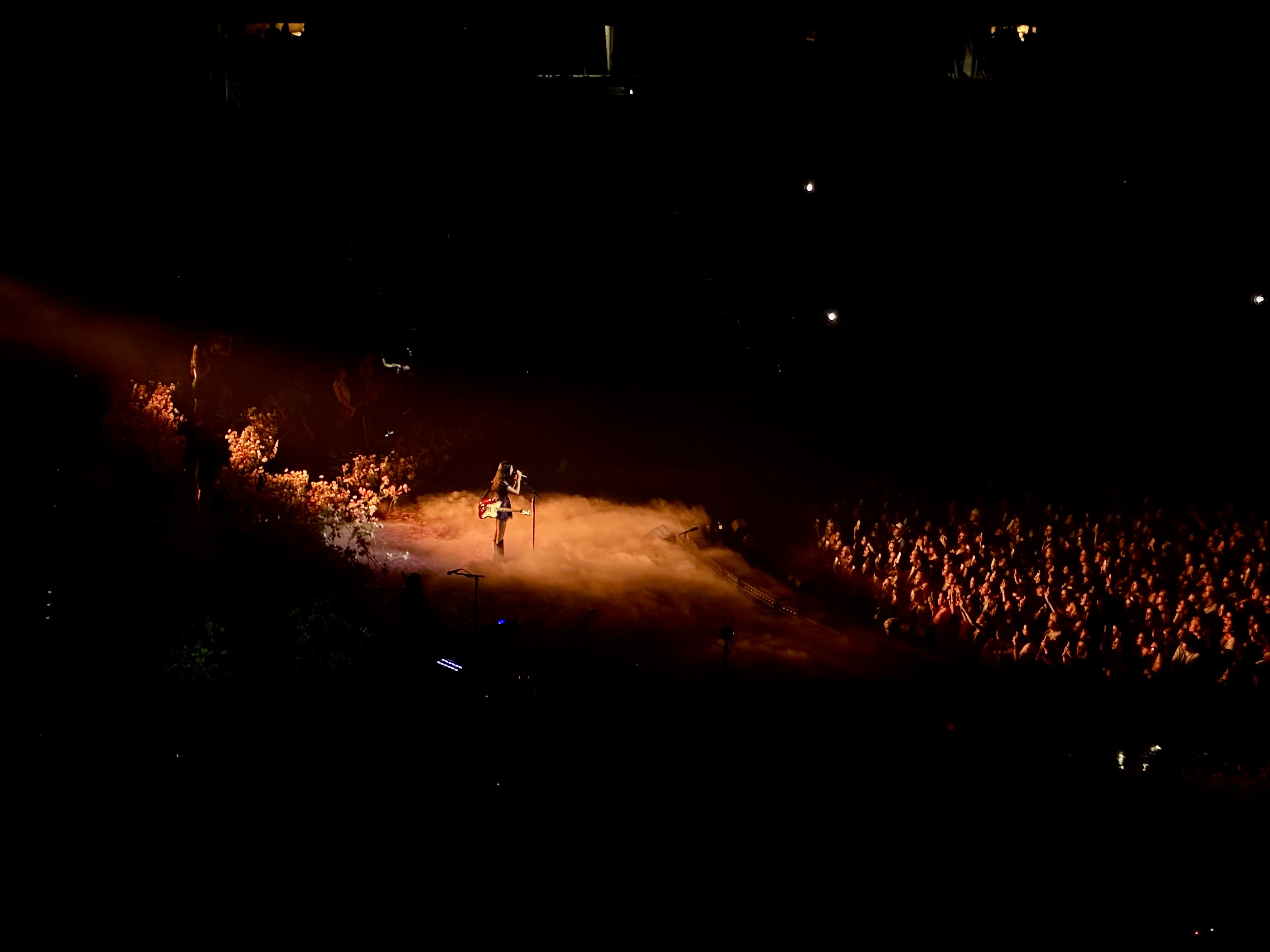 Image of The Unraveled Tour of Olivia Rodrigo Singing