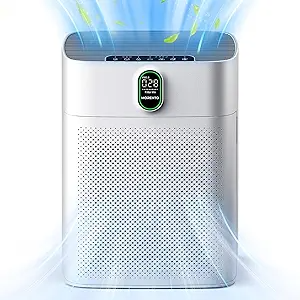 Air Purifier