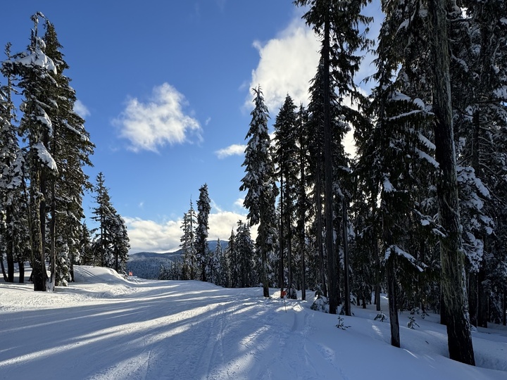 hc washy 720jpg by Keeley Dalton?width=698&height=466&fit=crop&auto=webp&dpr=4