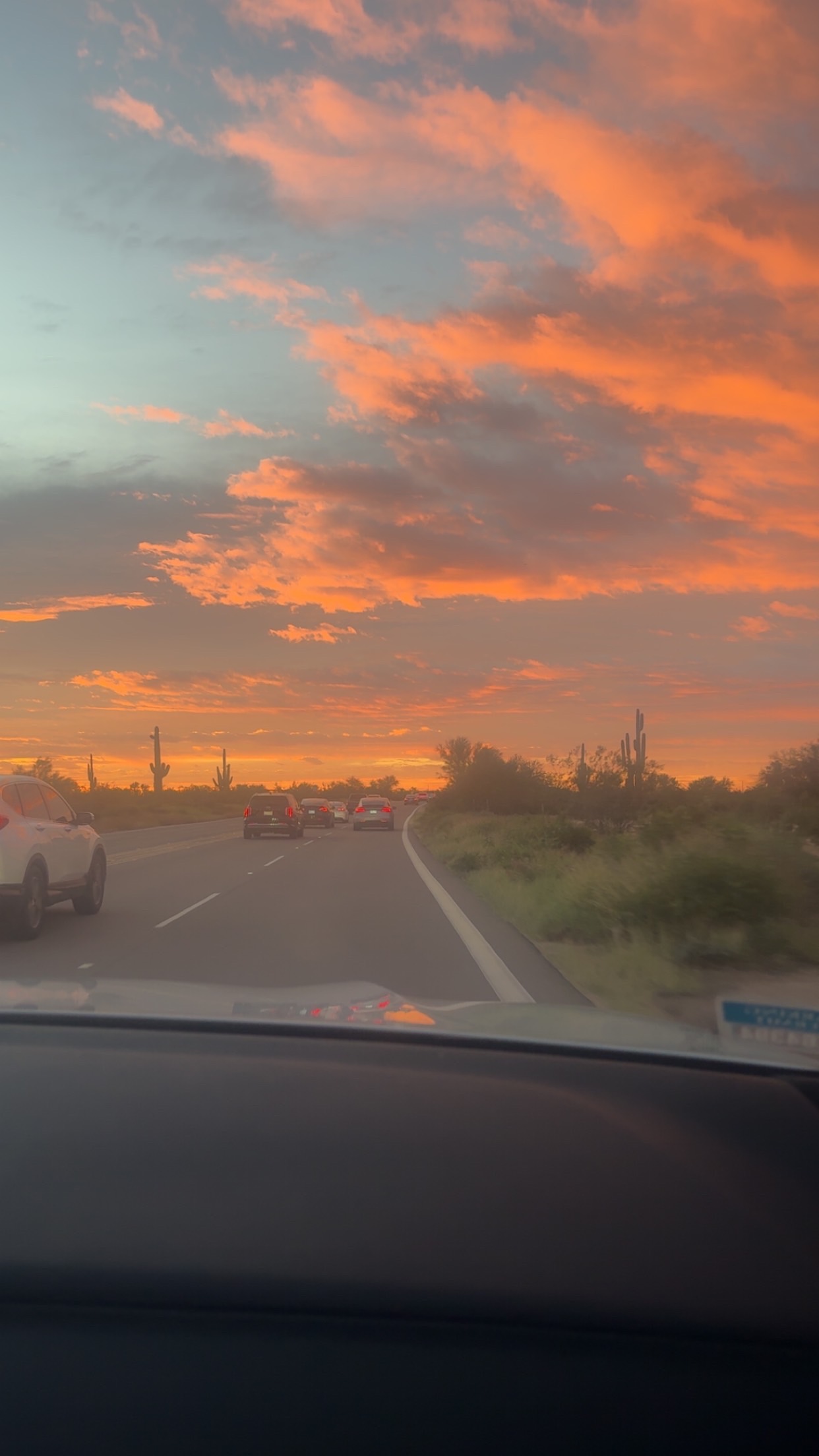 Arizona
