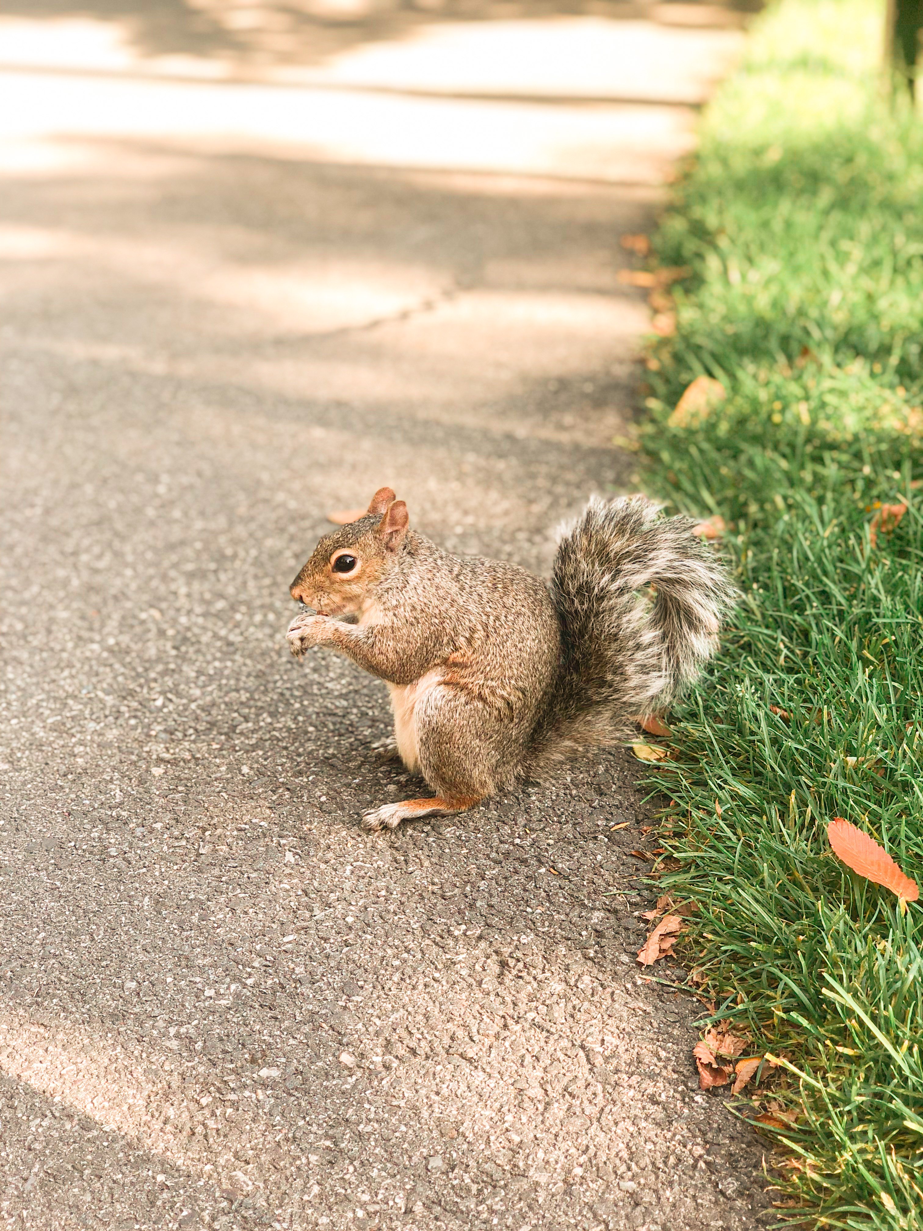 img 1011jpg by Natalie Soldatova?width=698&height=466&fit=crop&auto=webp&dpr=4