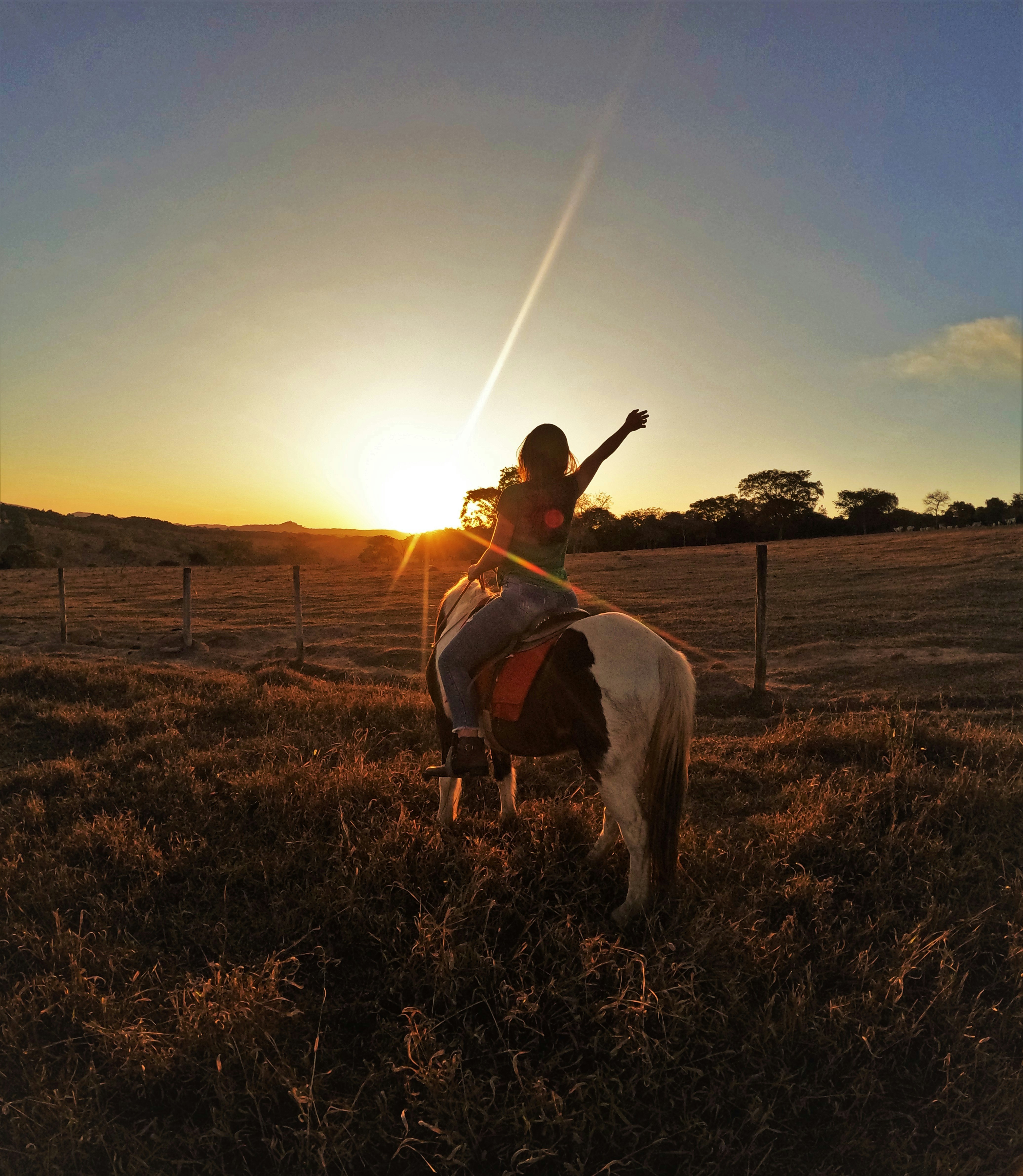 person riding horse during sunset