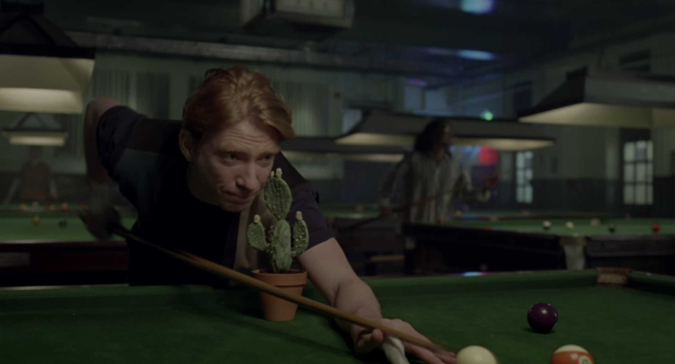 opalite music video cameos