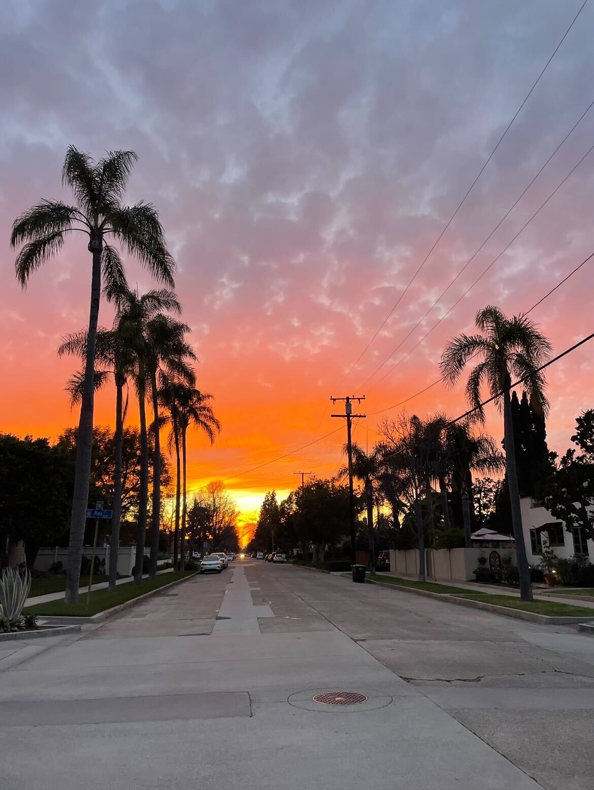 whered my money go?width=1024&height=1024&fit=cover&auto=webp&dpr=4