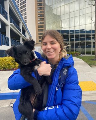 Maddie Mastro?width=500&height=500&fit=cover&auto=webp&dpr=4