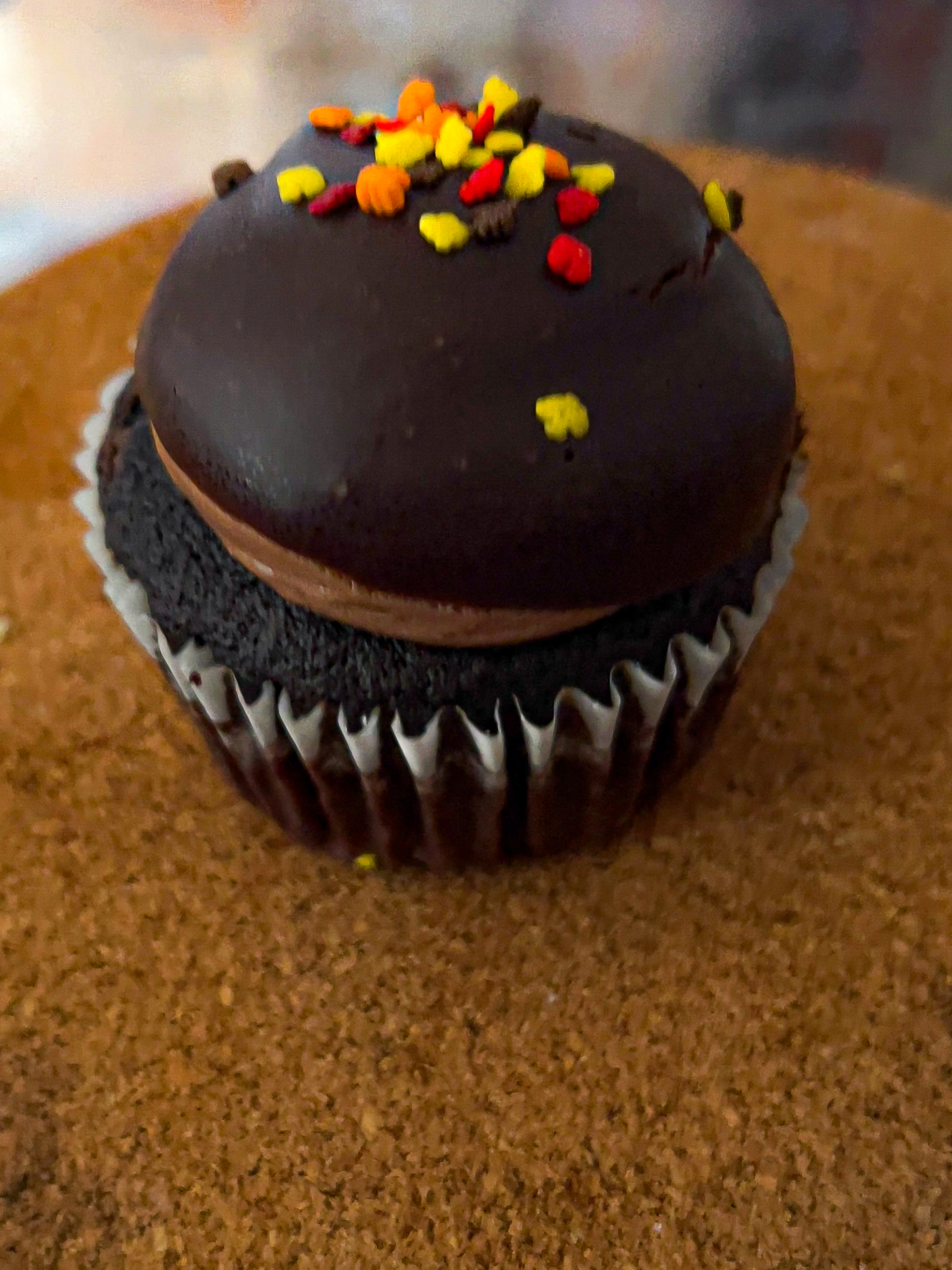 cupcake from oakleaf bakery