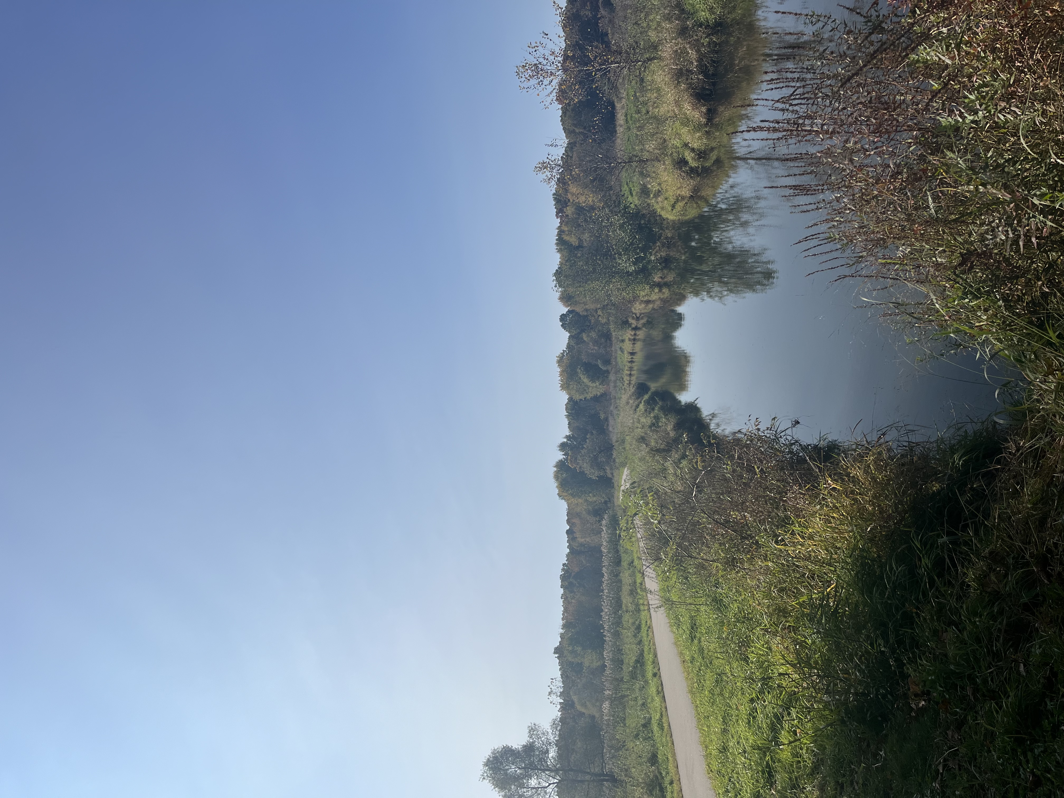 img 9393jpg by Gwyneth Vanden Belt?width=698&height=466&fit=crop&auto=webp&dpr=4