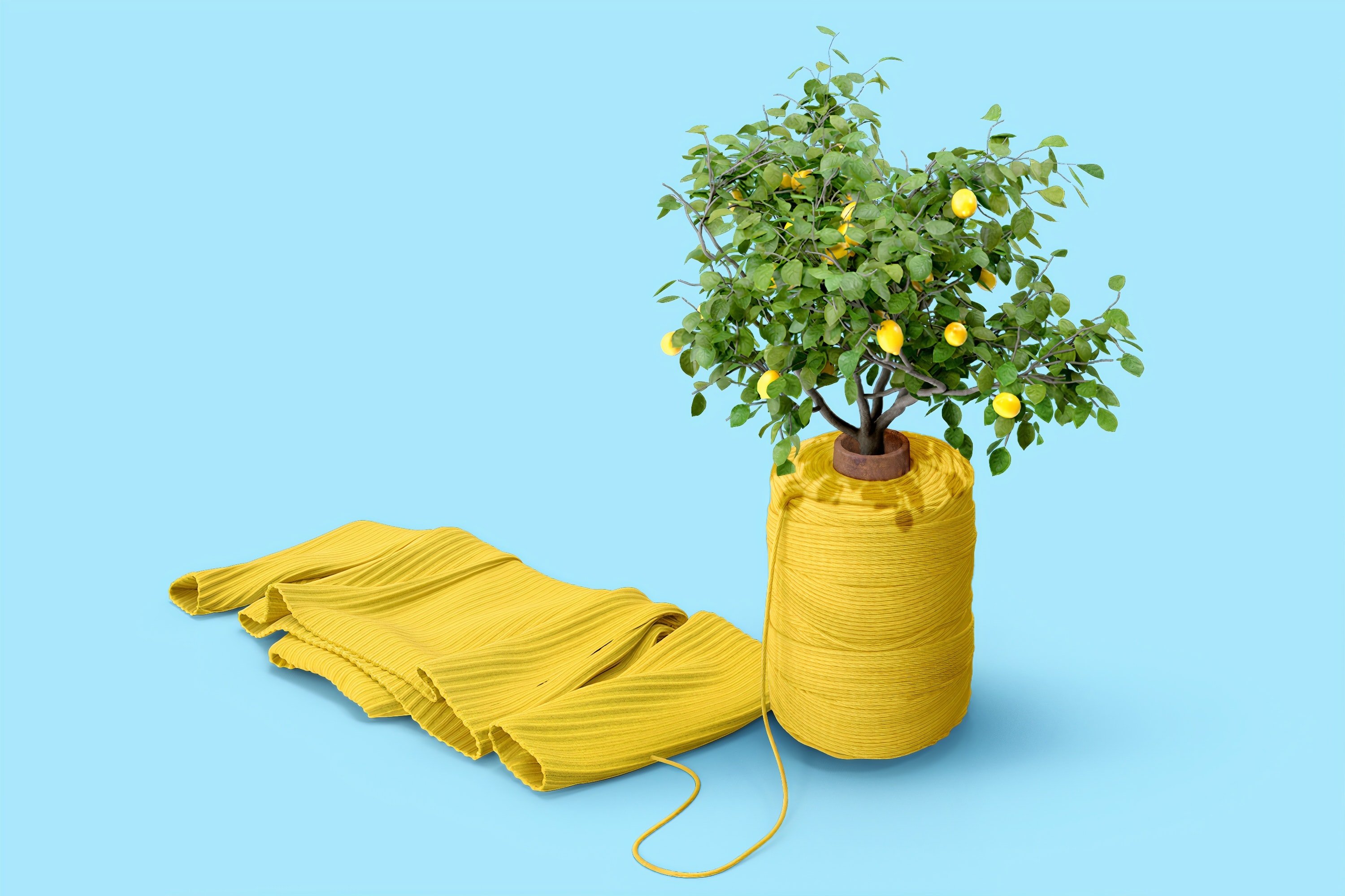 lemon tree with yellow yarn by Morning Brew?width=698&height=466&fit=crop&auto=webp&dpr=4