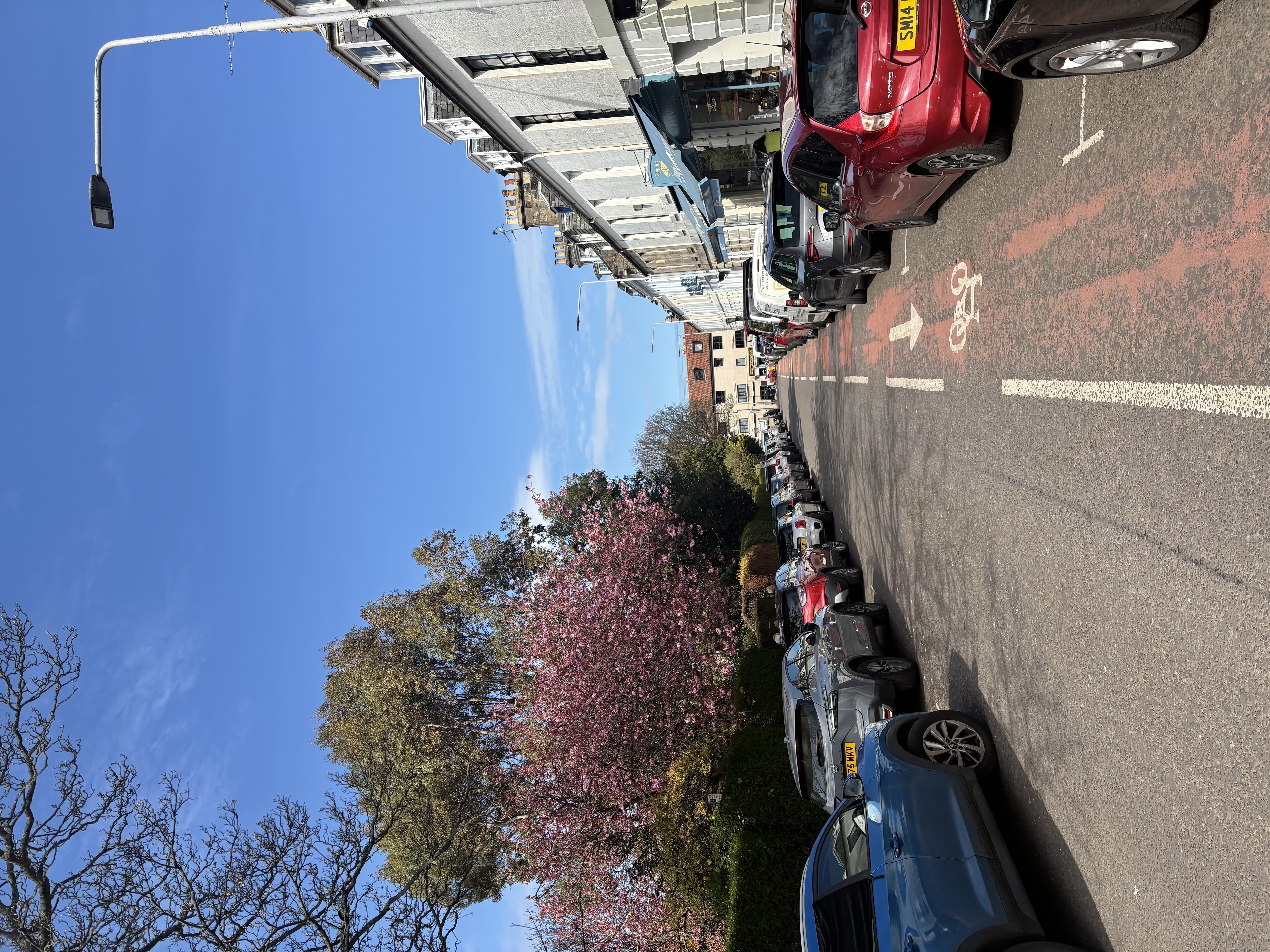 Greyfriar’s Garden, St Andrews