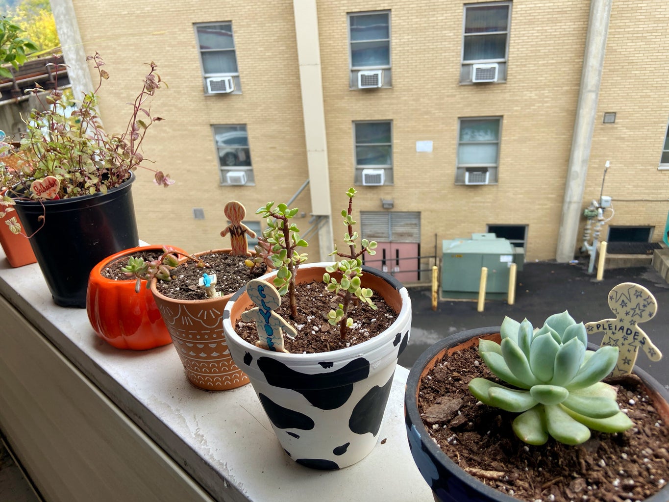 Plants with name tags sitting on balcony