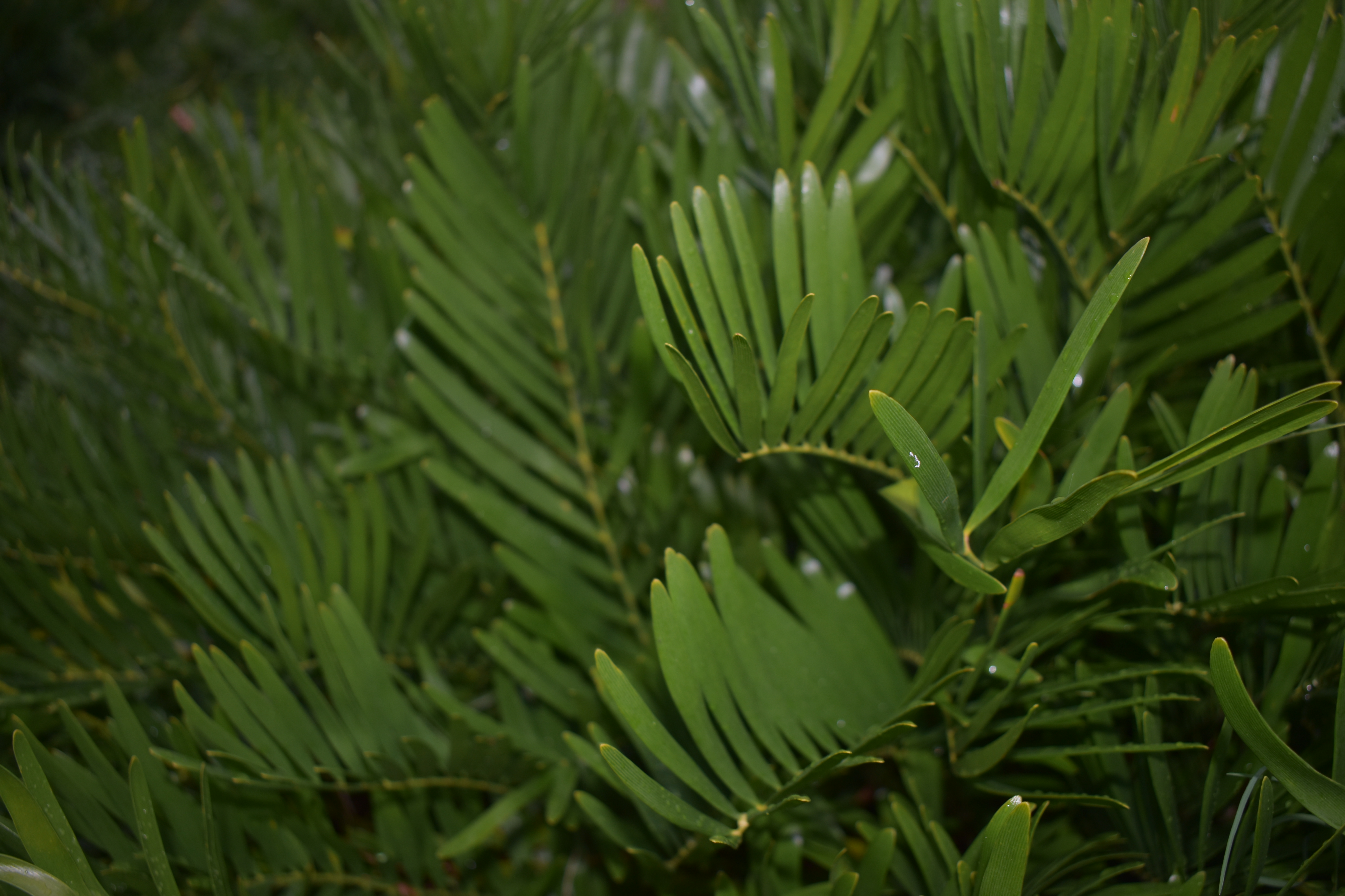 dsc 0453jpg by Kristly Liszk?width=698&height=466&fit=crop&auto=webp&dpr=4