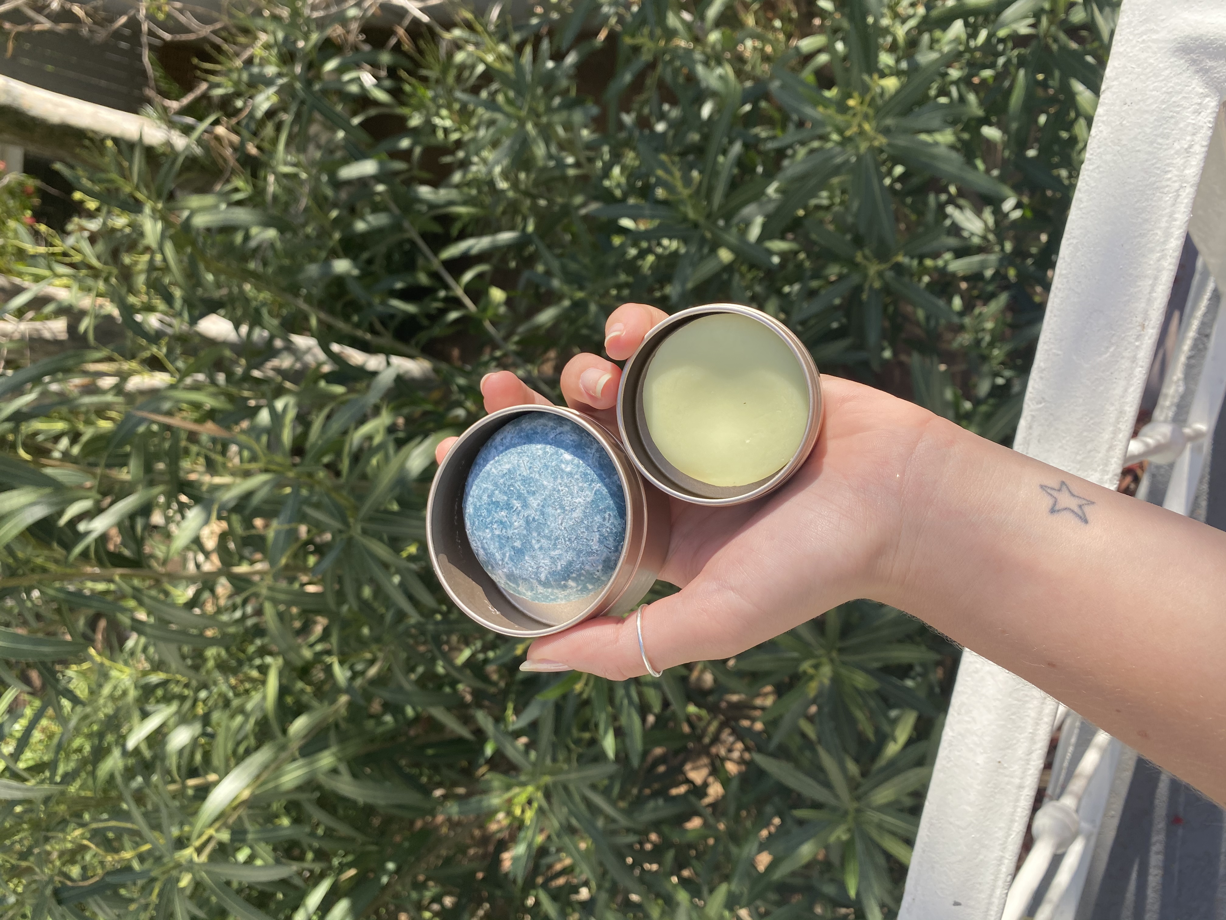 img 6621jpegjpg by Claire Mullin