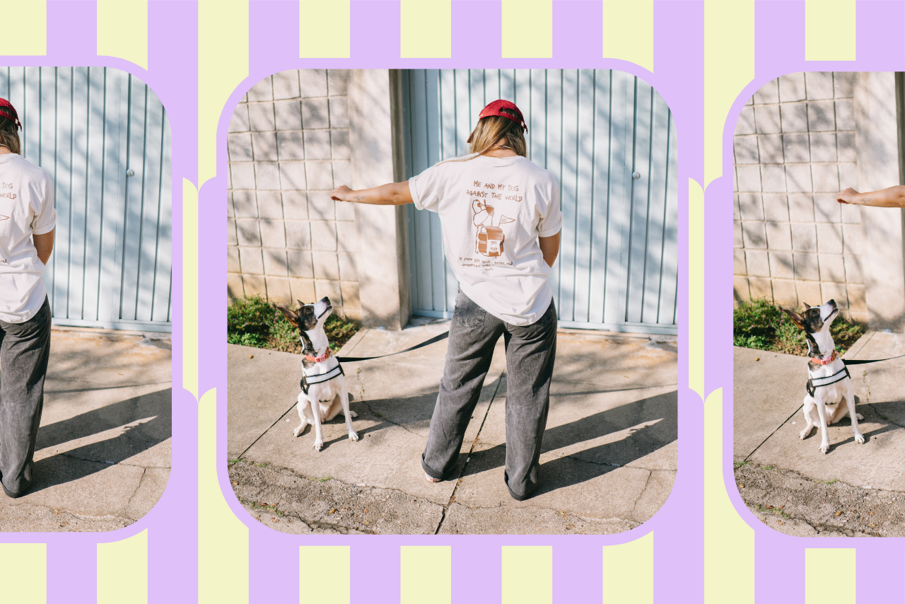 puppy training clubs?width=698&height=466&fit=crop&auto=webp&dpr=4