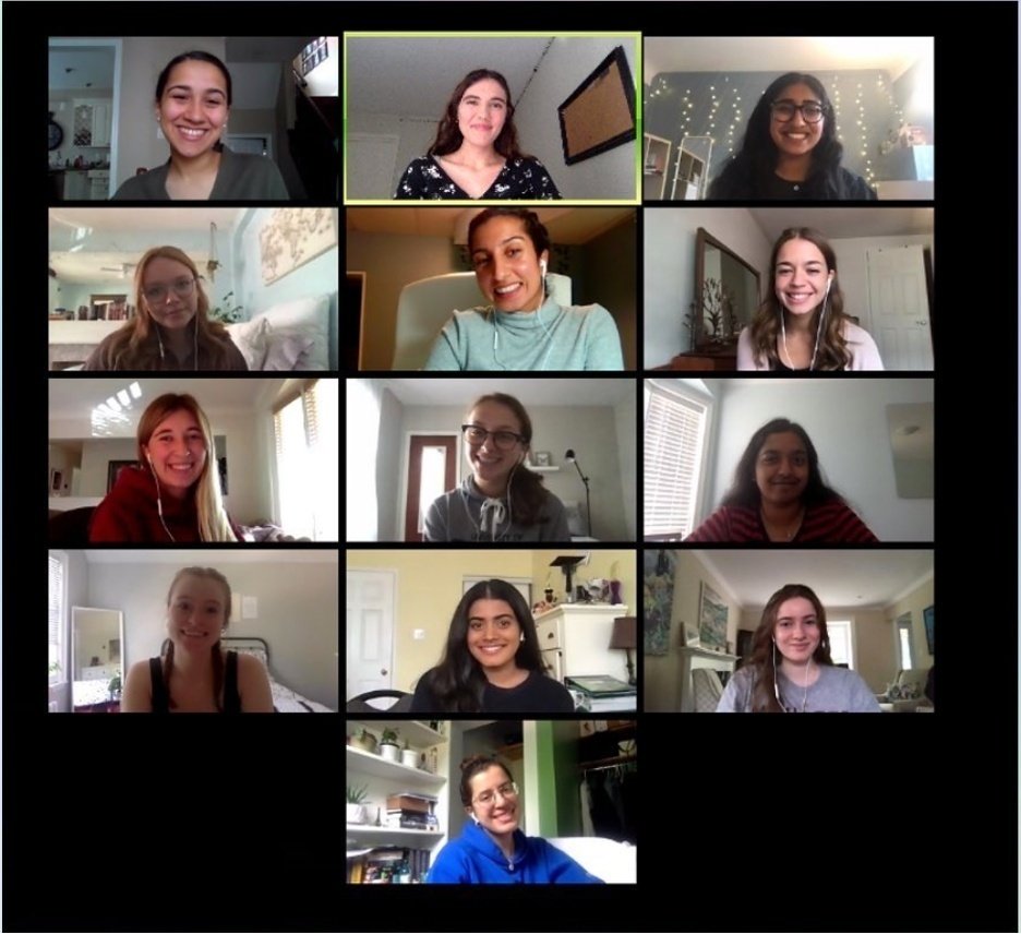 HC McMaster virtual meeting by Hilary Menezes?width=698&height=466&fit=crop&auto=webp&dpr=4