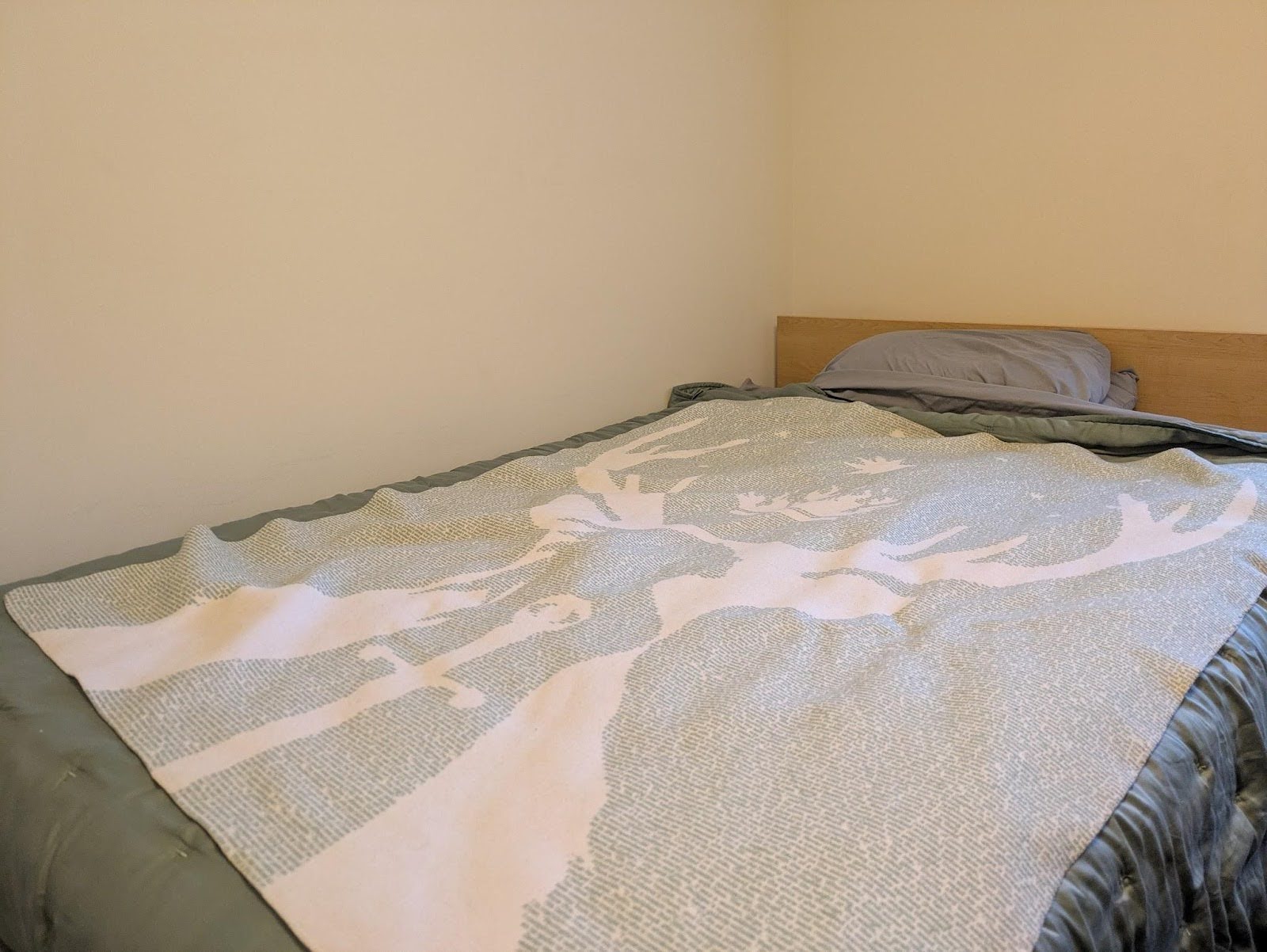 kp routine bed?width=500&height=500&fit=cover&auto=webp&dpr=4