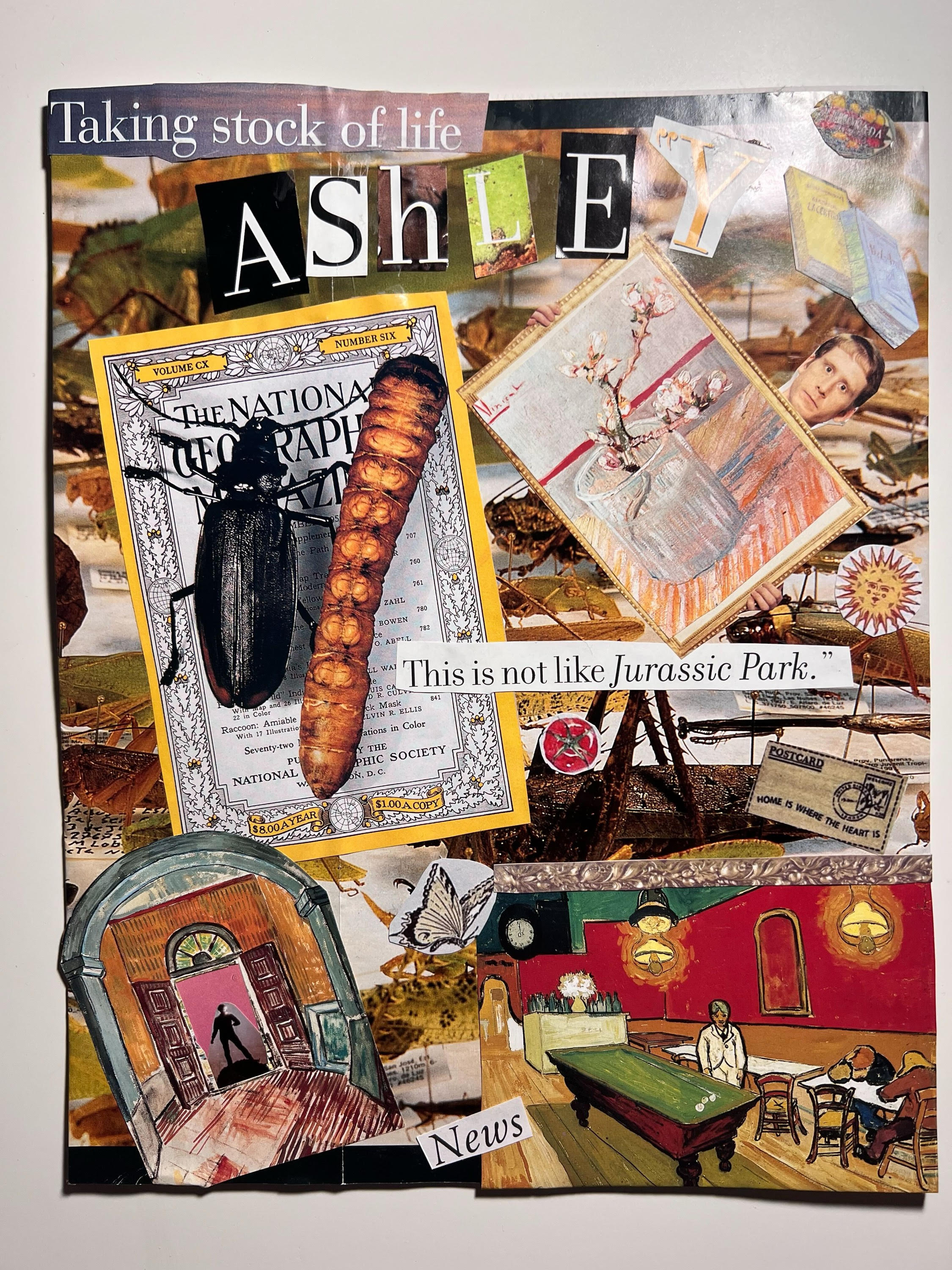 collage display featuring national geographic cutouts