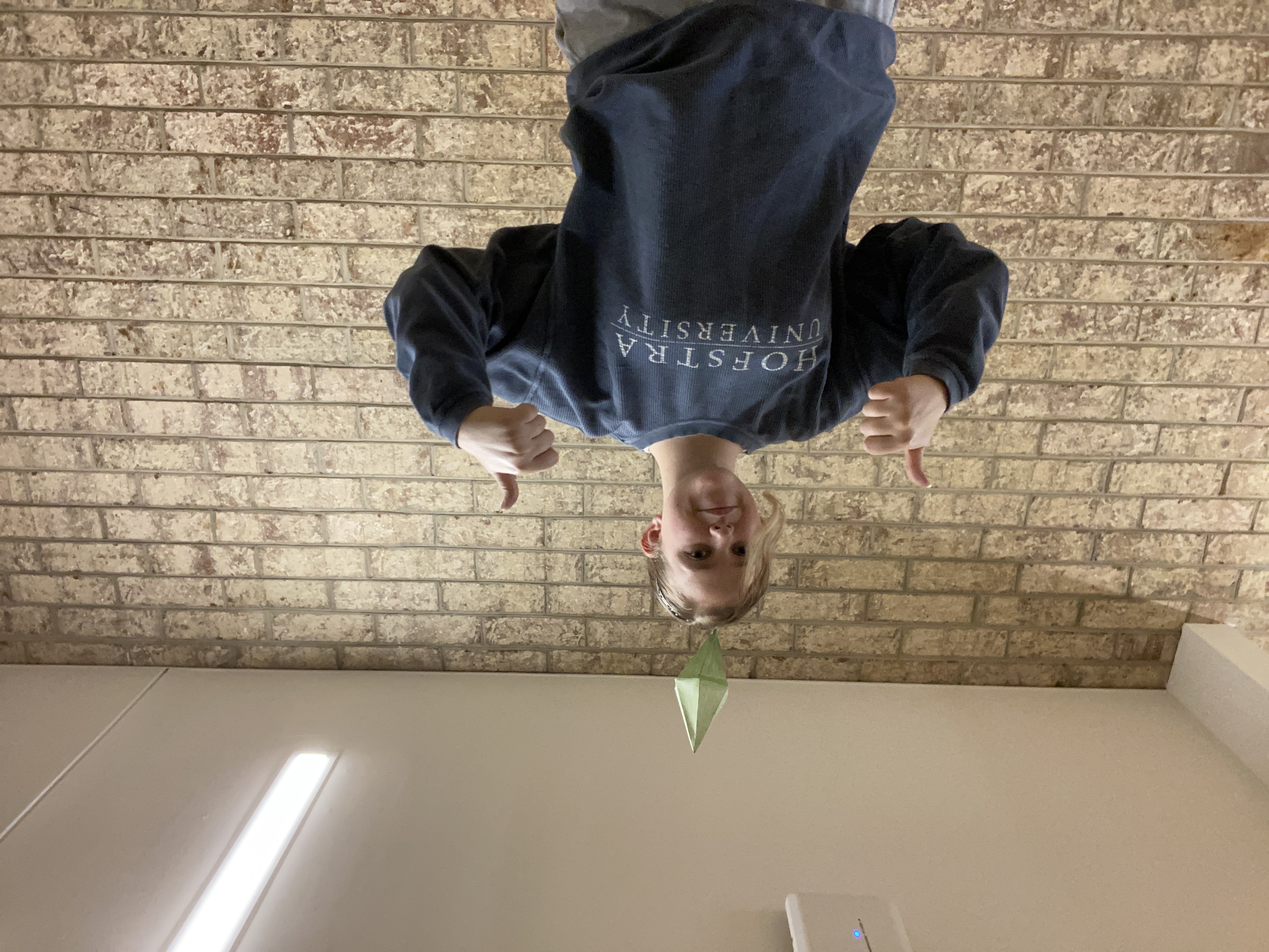 My costume for a sims character