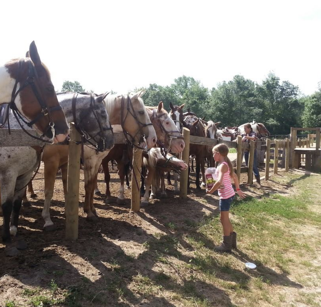 screenshot 20251121 at 23115pmpng by Brooke Hopwood?width=698&height=466&fit=crop&auto=webp&dpr=4