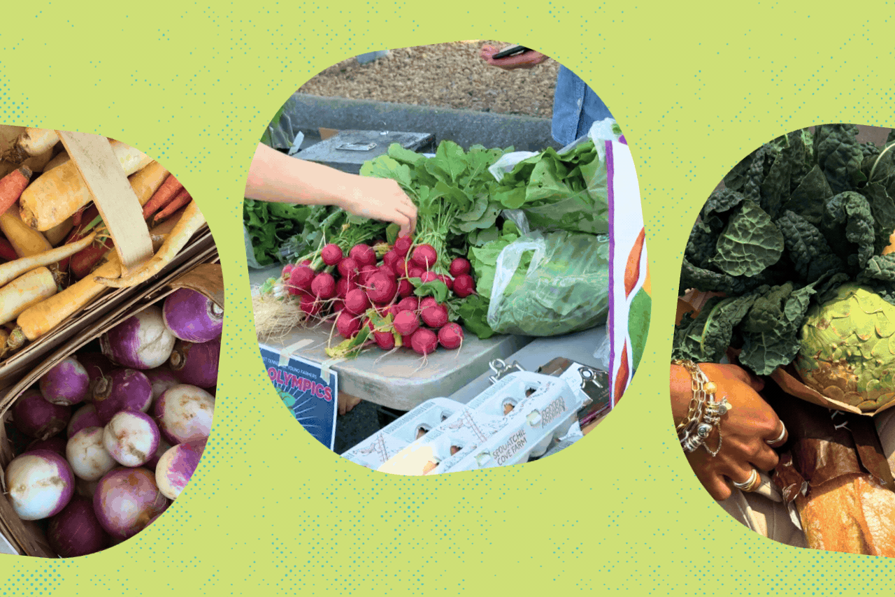 springvegaszodiac?width=287&height=192&fit=crop&auto=webp&dpr=4