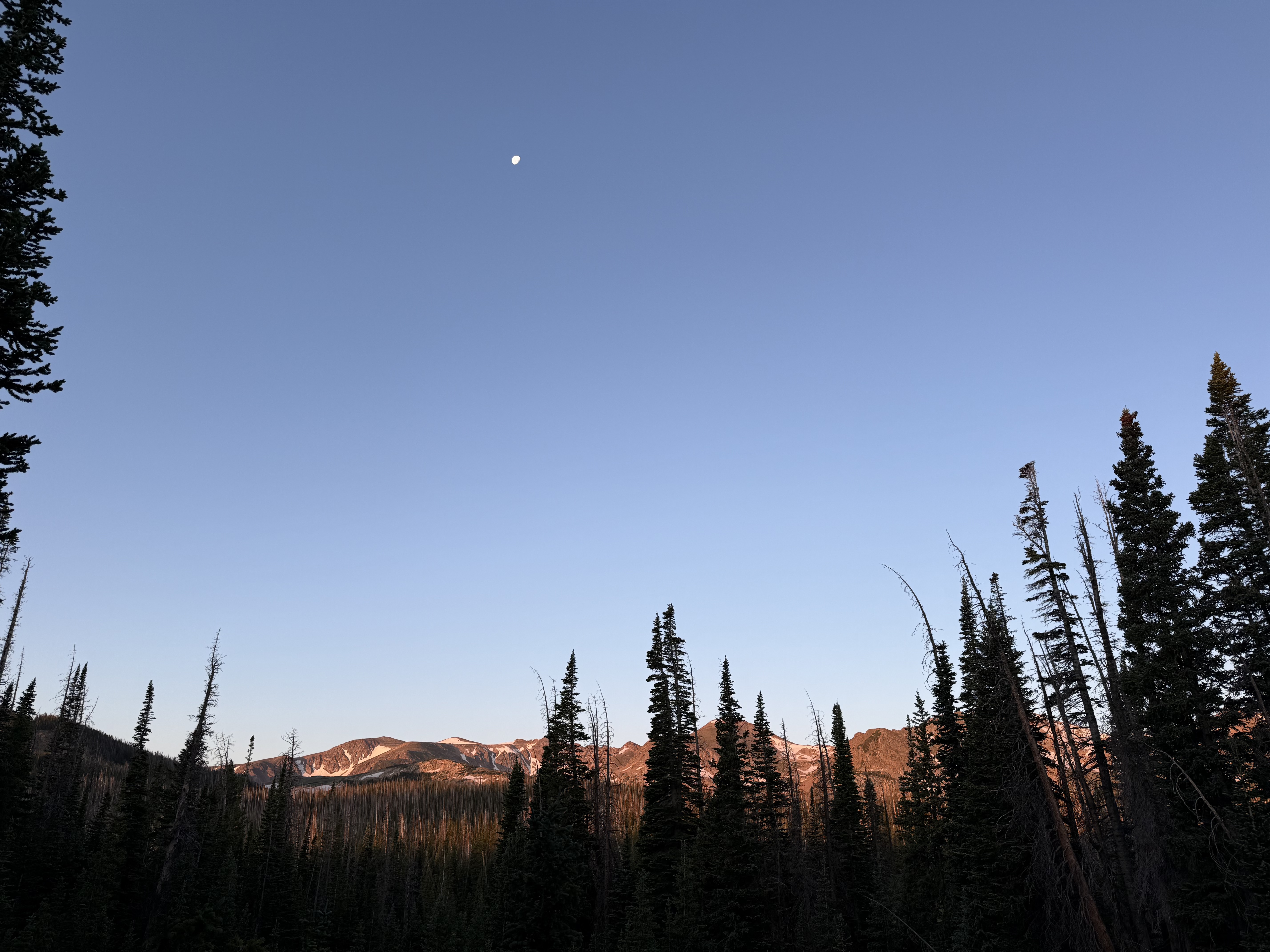 img 1988jpegjpg by Victoria Sanchez?width=698&height=466&fit=crop&auto=webp&dpr=4