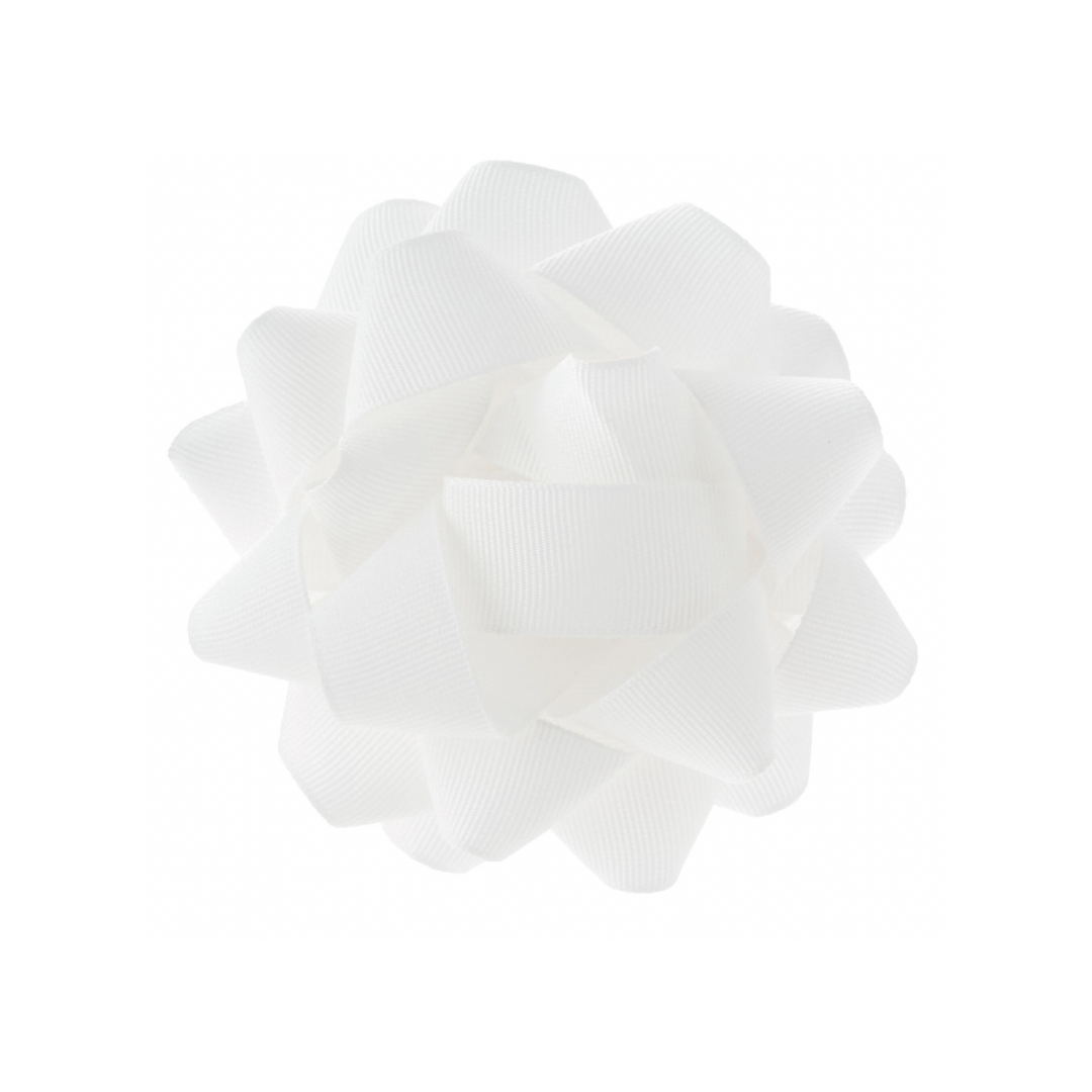 12?width=1024&height=1024&fit=cover&auto=webp&dpr=4