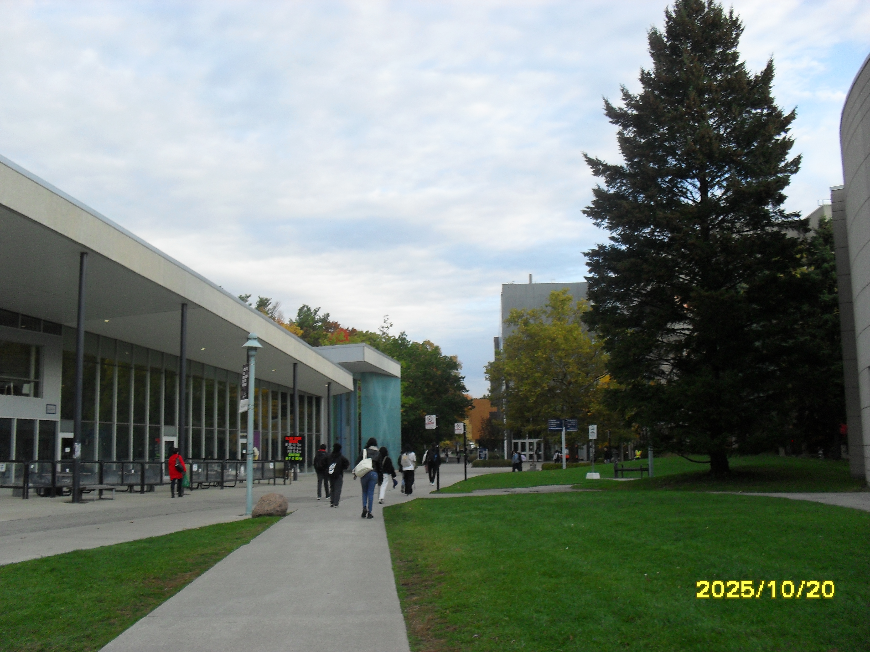 People walking on UTM campus