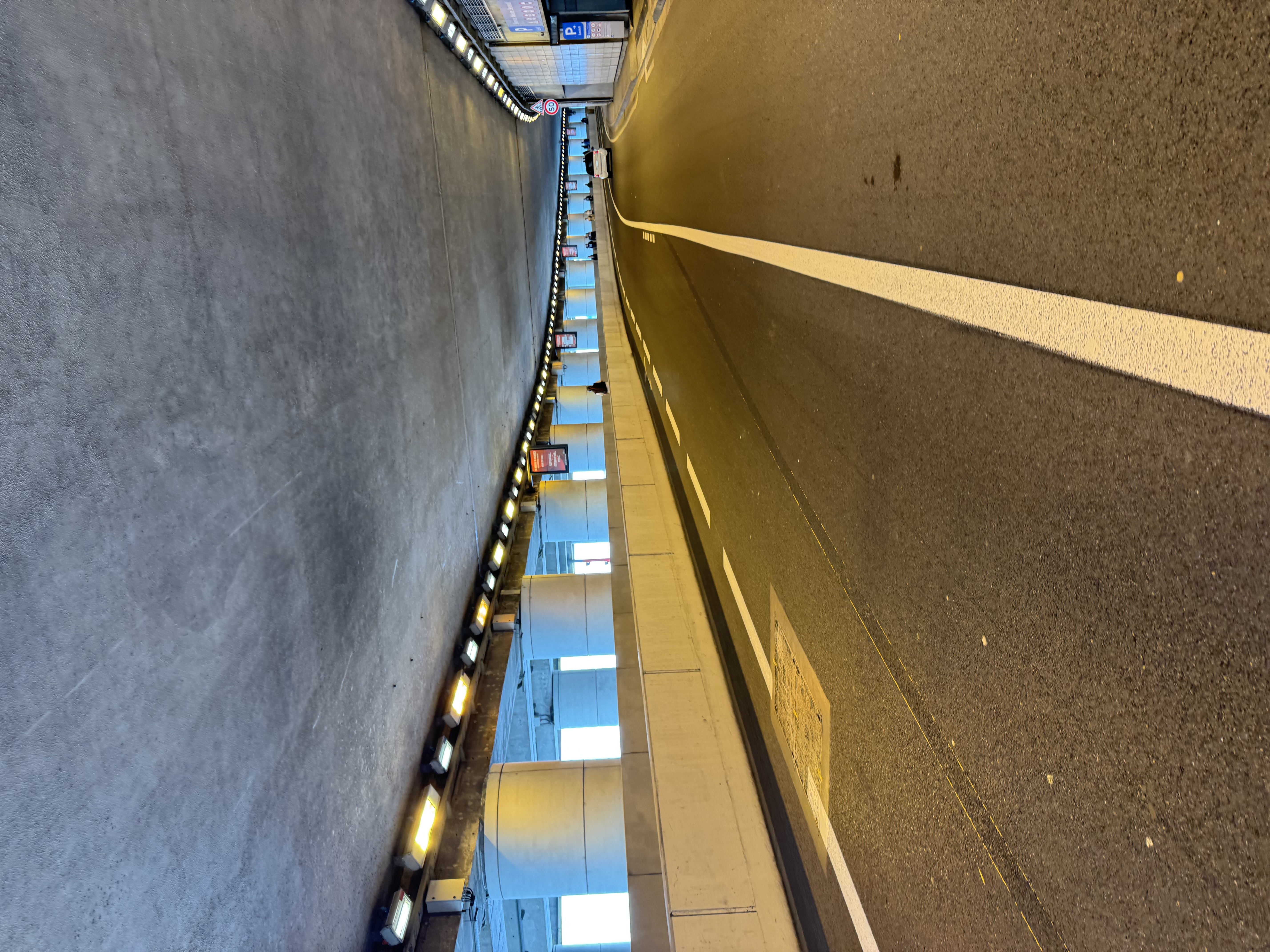 Walking the F1 Track3?width=500&height=500&fit=cover&auto=webp&dpr=4