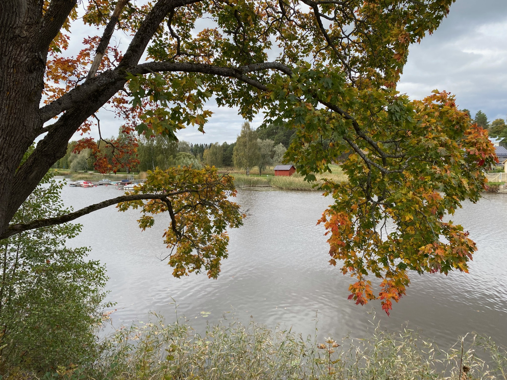 2134d240339c436da8a364423d3f1624jpegjpg by Leila Askerova