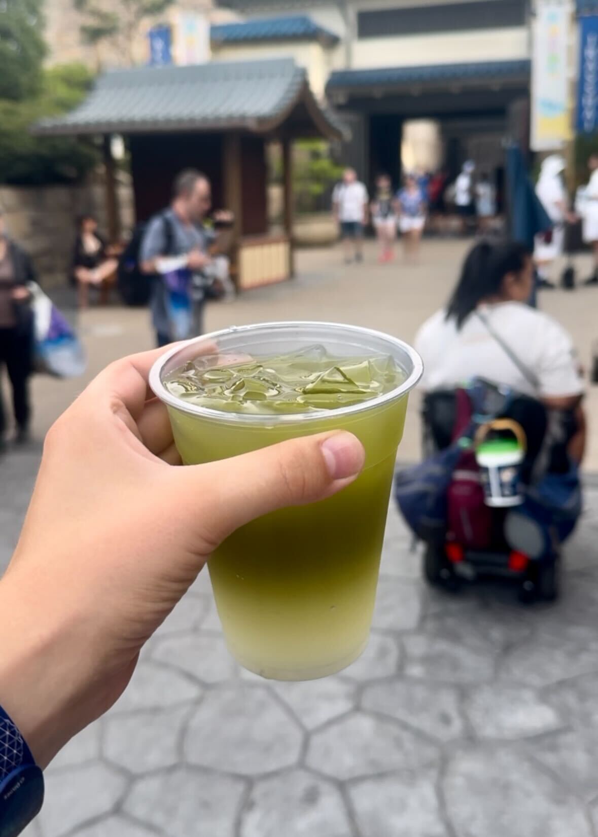 img 9824?width=1024&height=1024&fit=cover&auto=webp&dpr=4