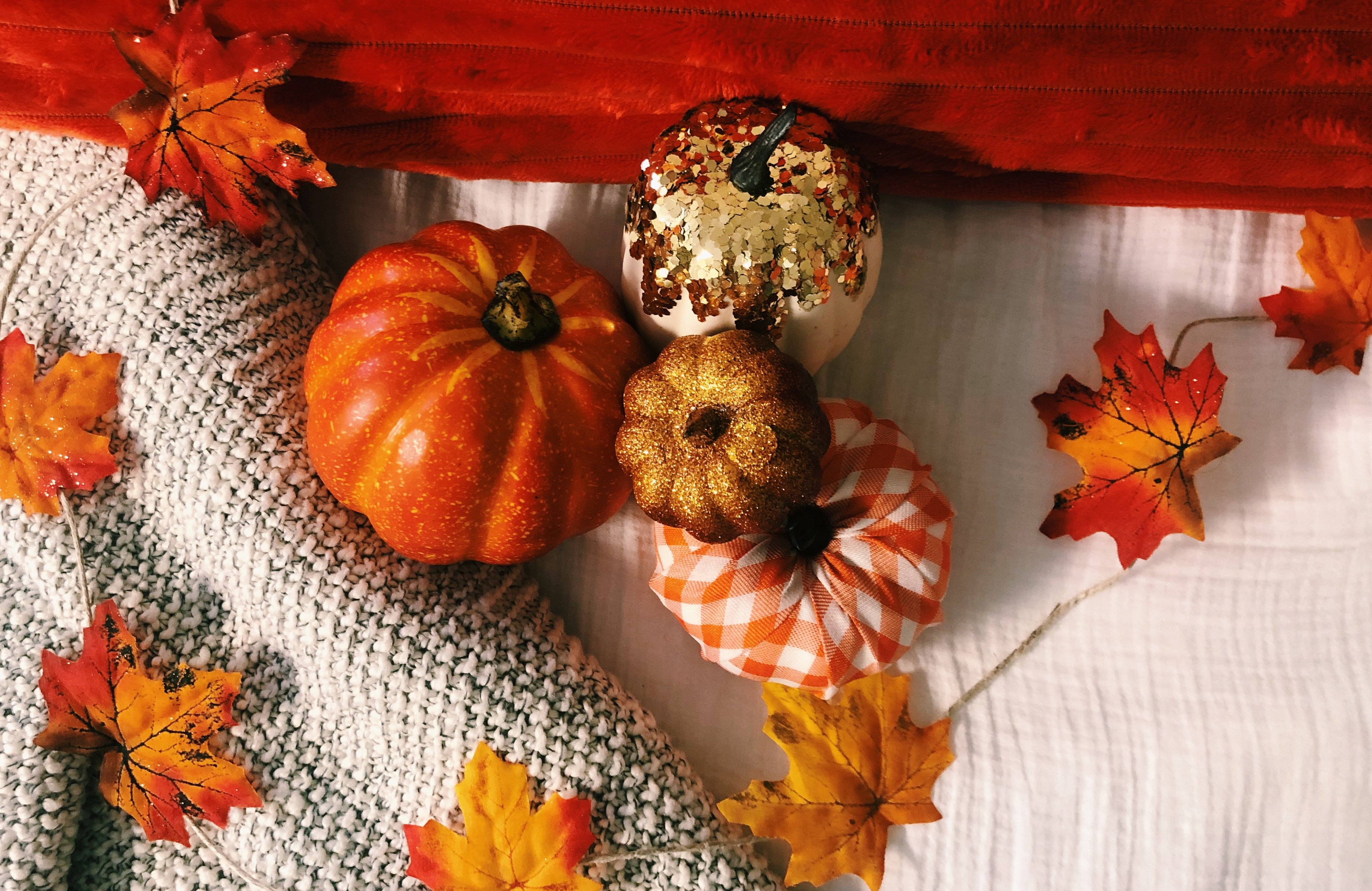 fall decor by Sunnie Berning?width=698&height=466&fit=crop&auto=webp&dpr=4