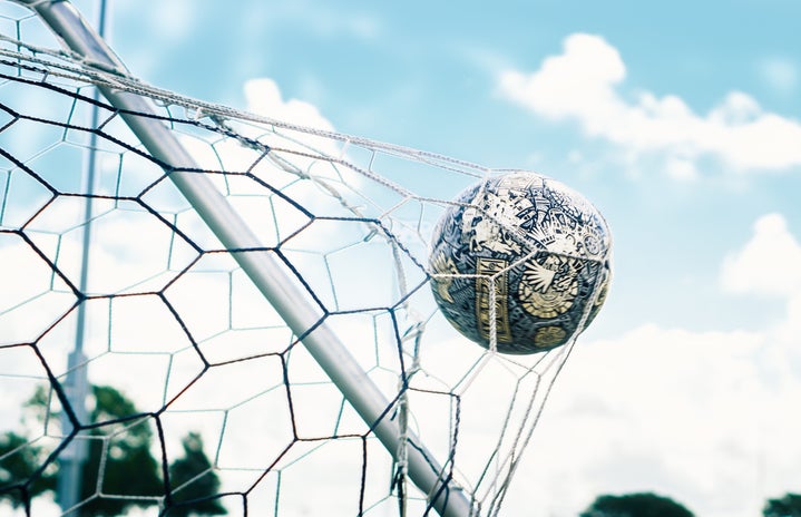 soccer goal in net