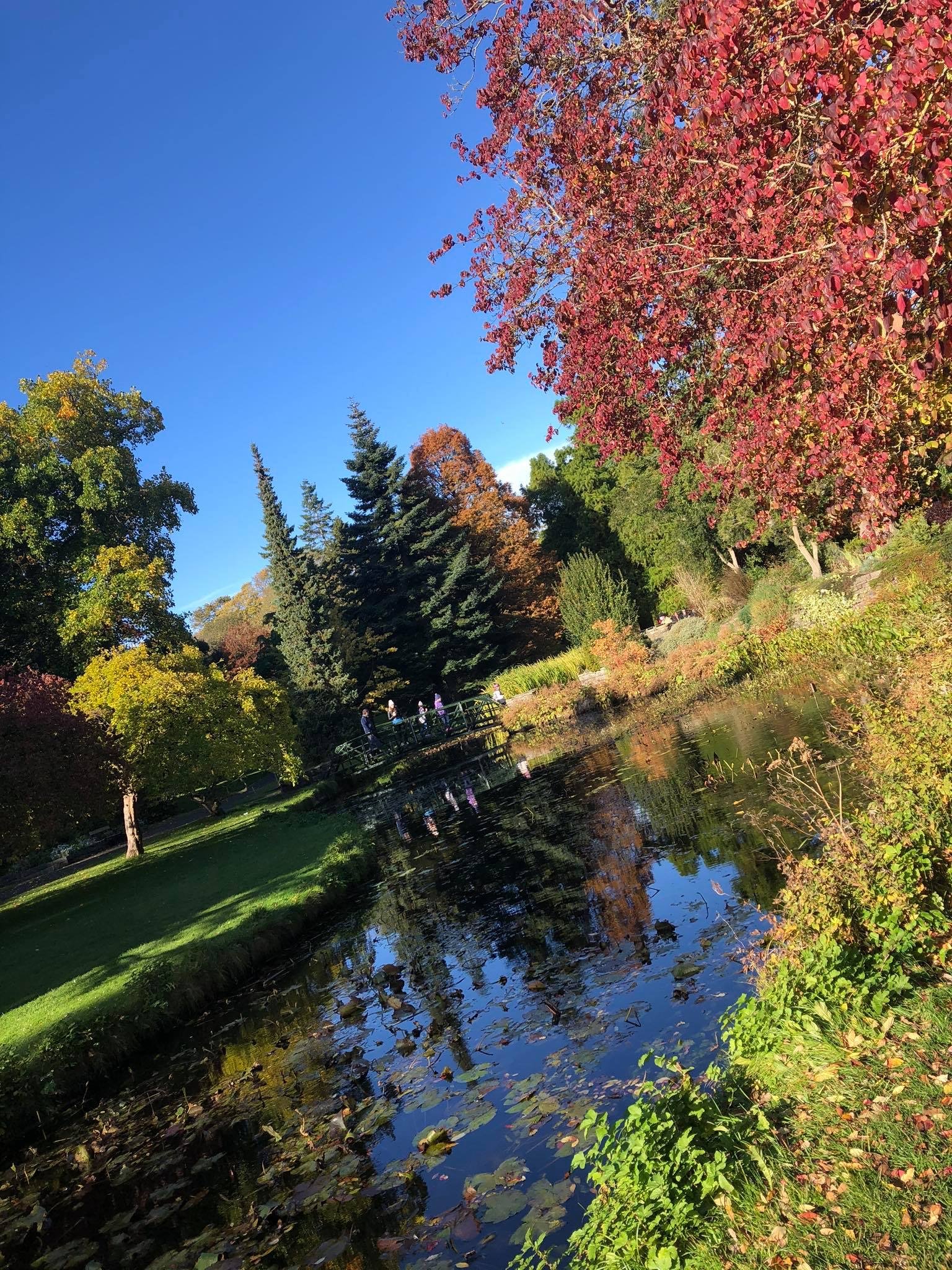 North Dublin by Aoife McGeough