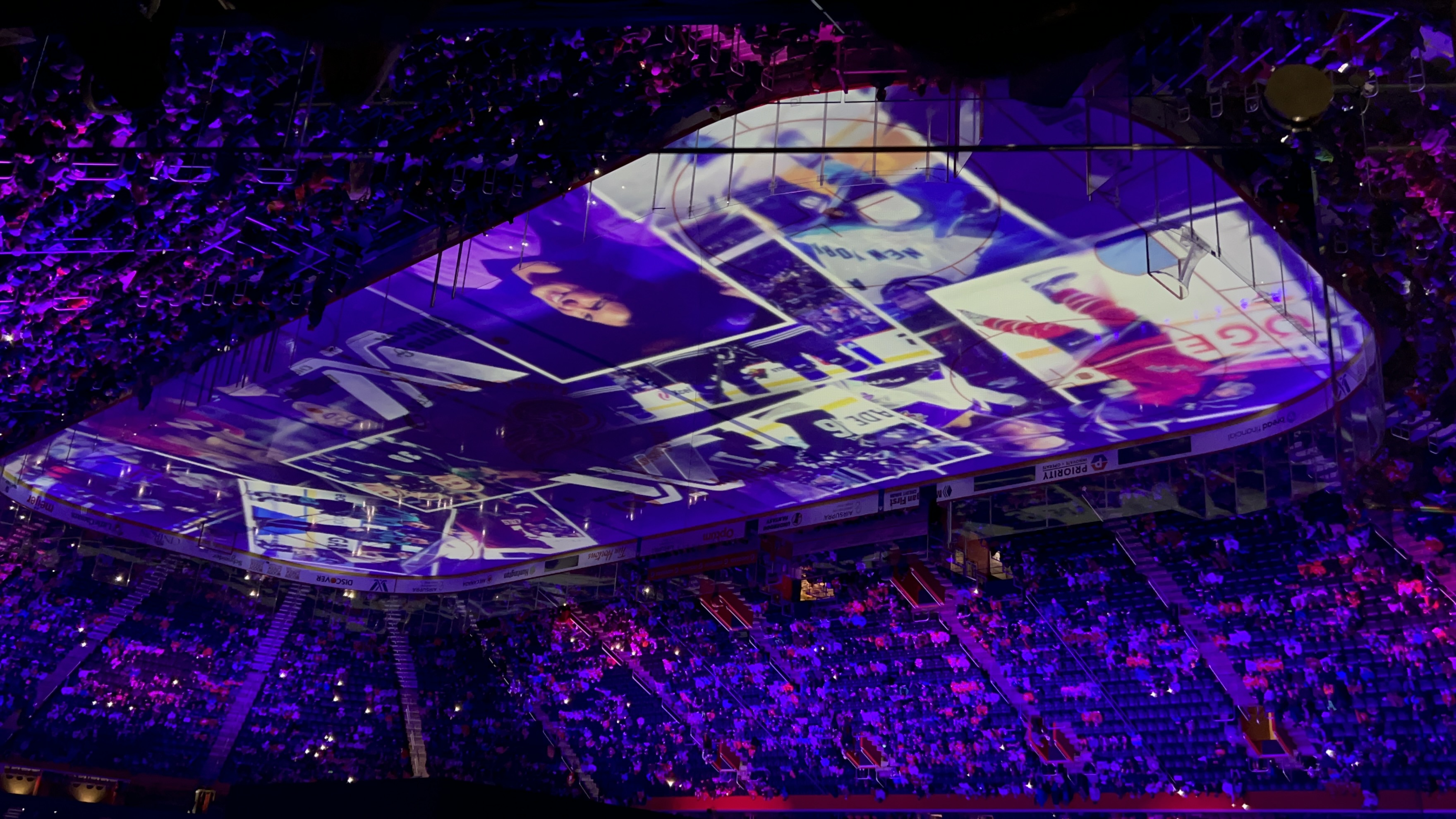 img 2430jpg by Nicole Koelsch?width=698&height=466&fit=crop&auto=webp&dpr=4