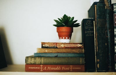 Books stacked on a shelf with a small plant on top.
