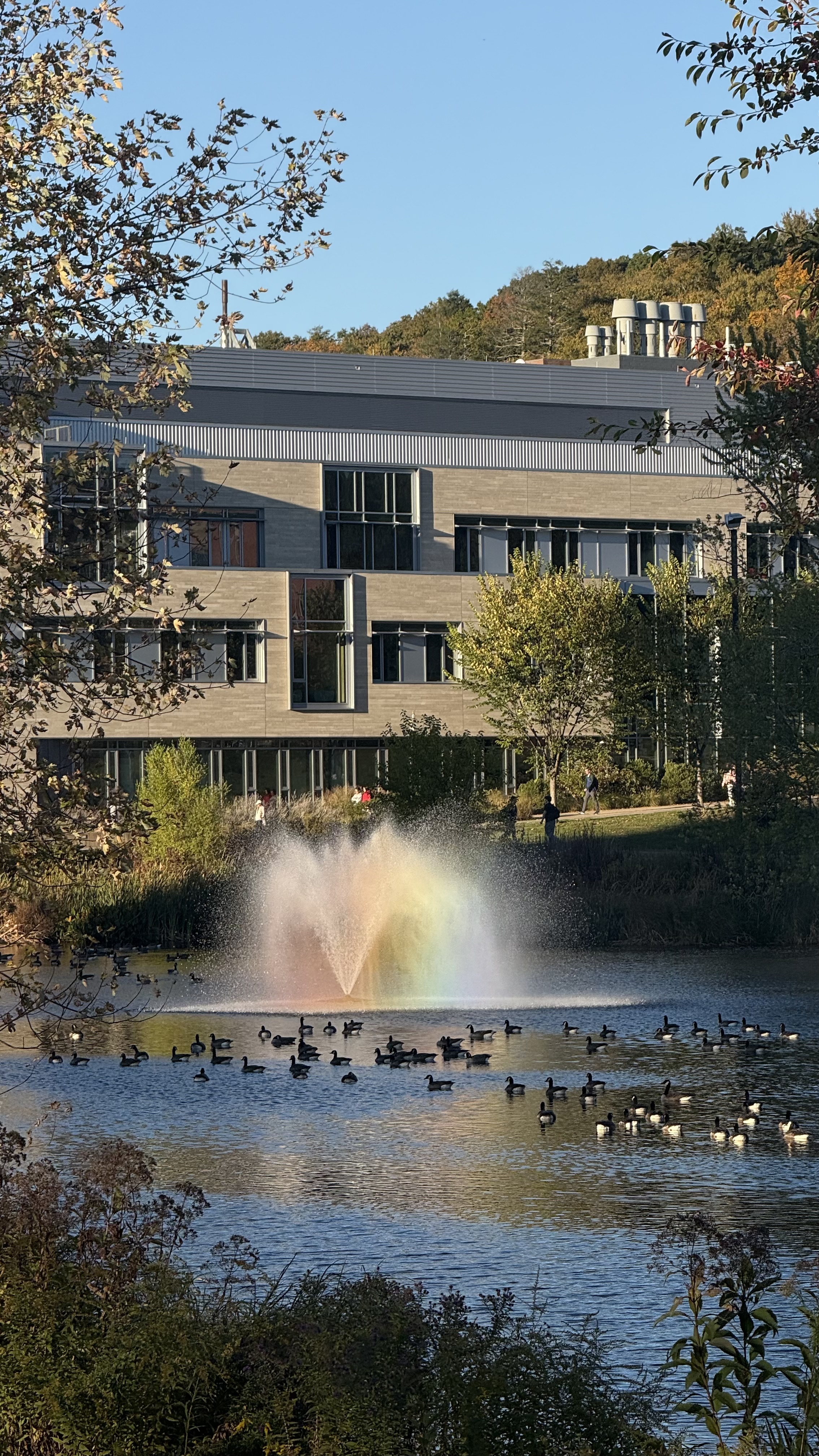 campus pond