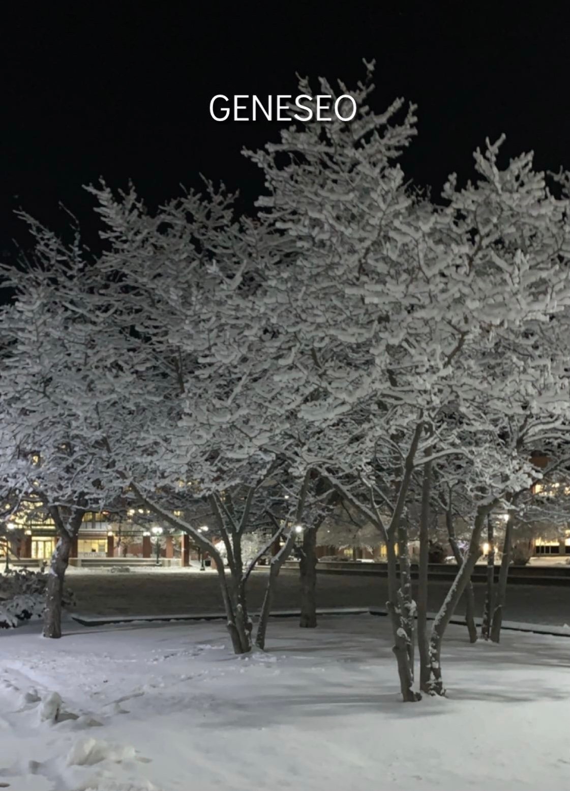 img6712jpg by Rebecca Williamson