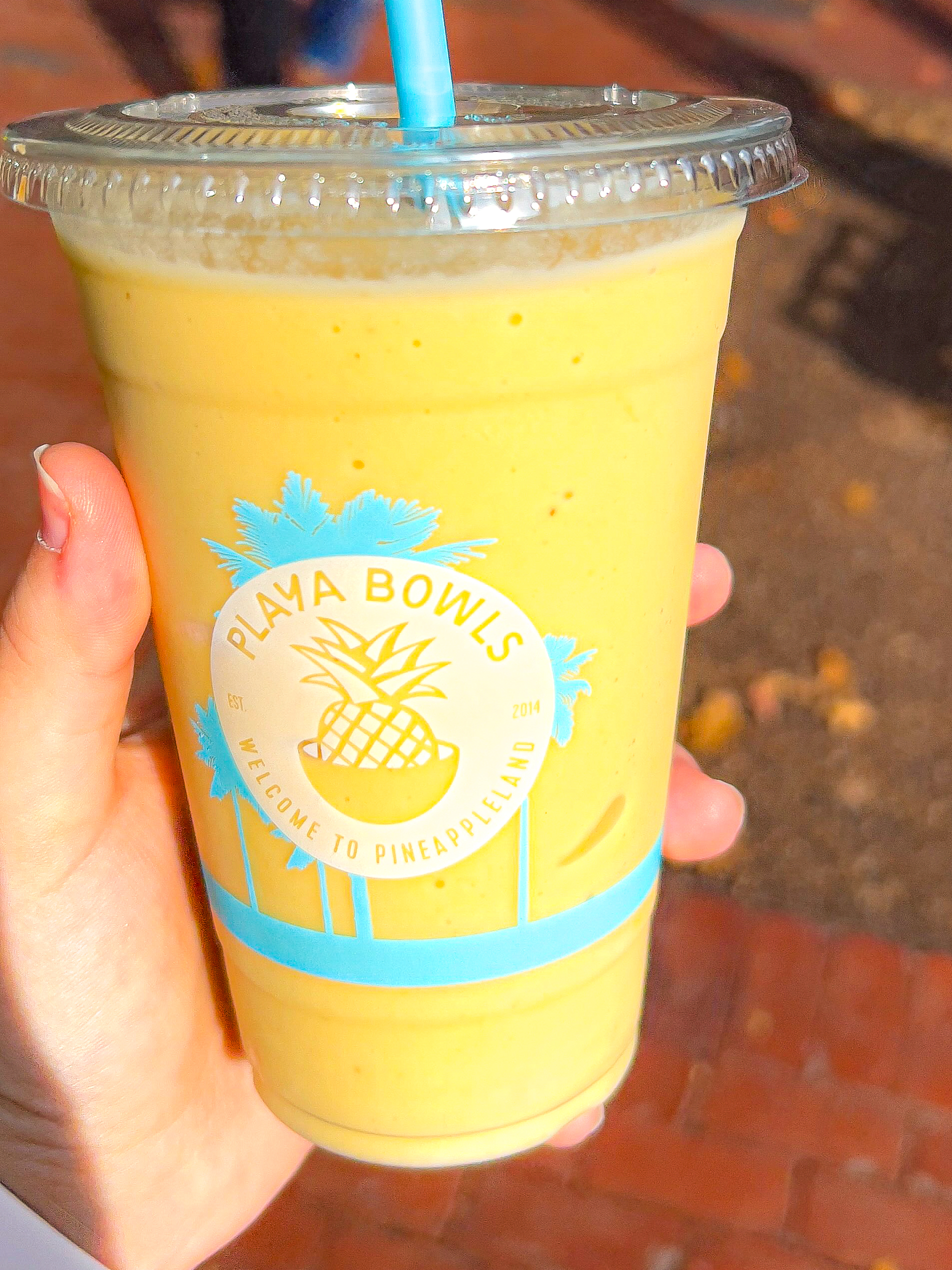aloha smoothie from playa bowl
