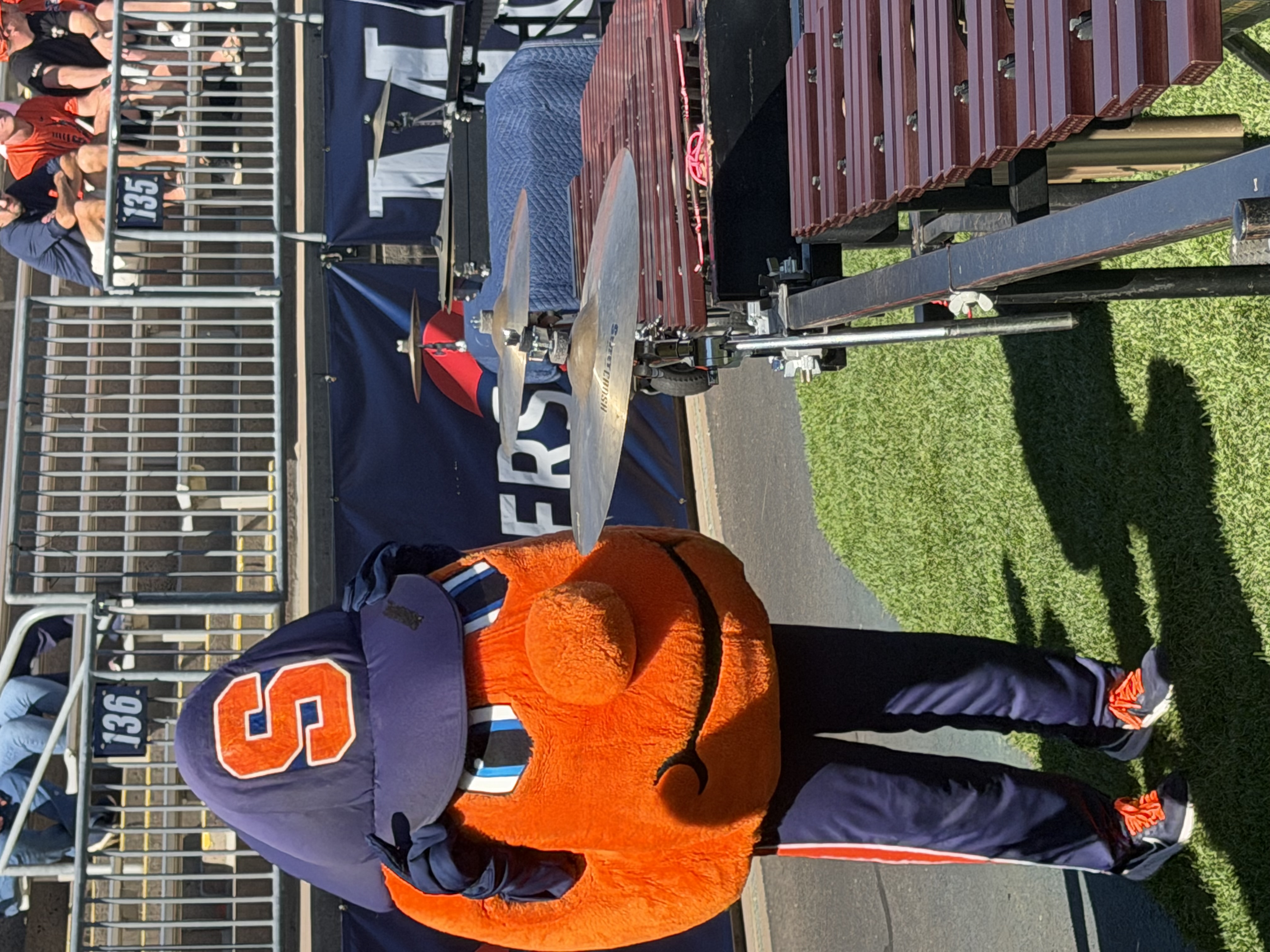 Orange hanging out with the pit