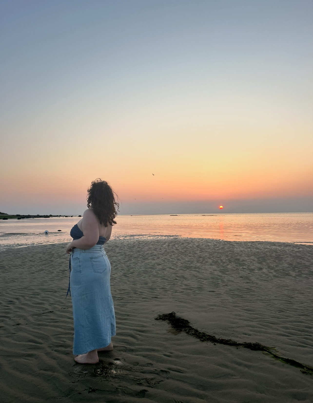 img 7703jpegjpg by Avery Becker?width=698&height=466&fit=crop&auto=webp&dpr=4