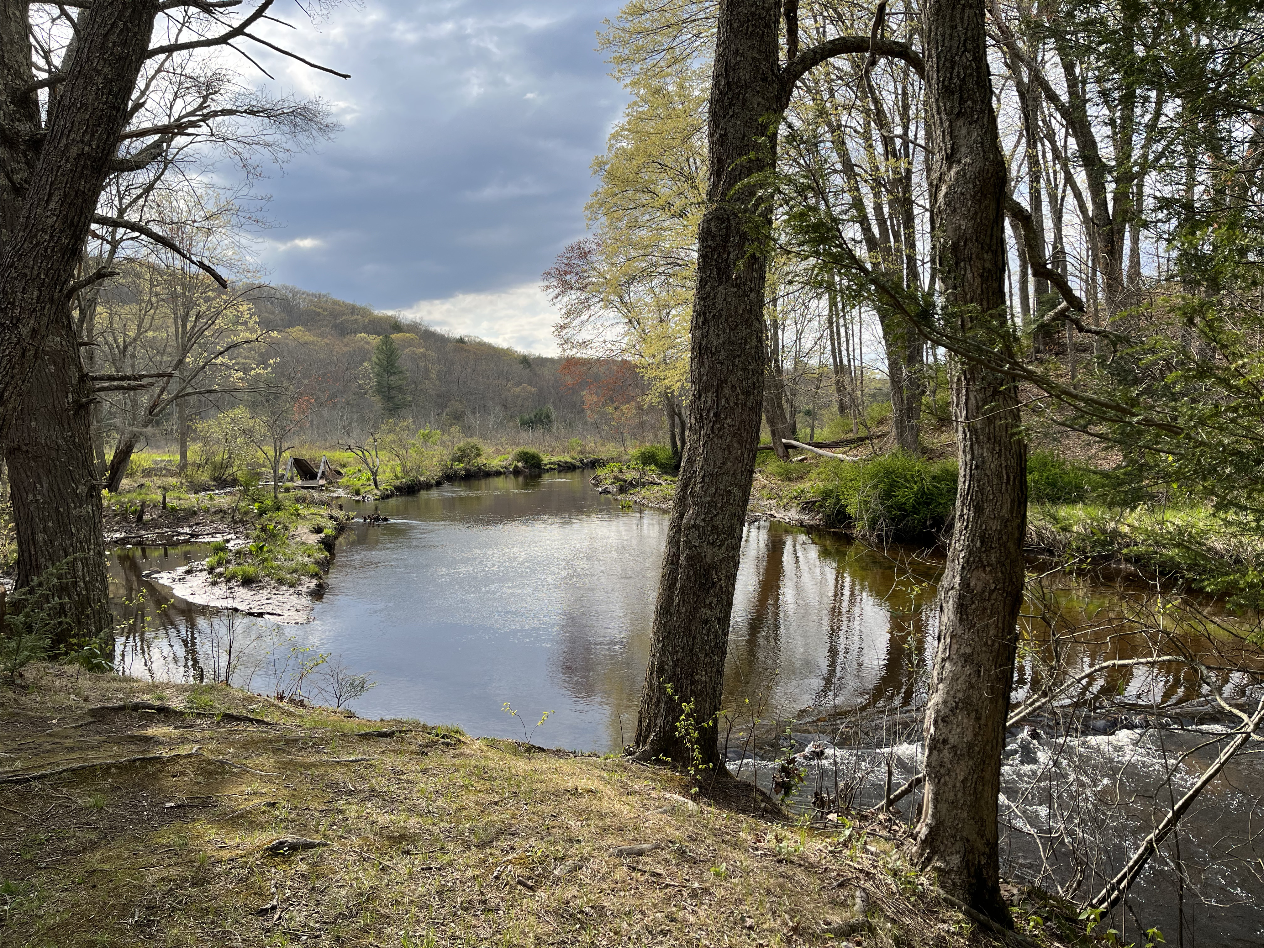 70423466892 3cb9c15069ad41859fee0aa04ecc2be5 2jpg by Jessica DiTommaso?width=698&height=466&fit=crop&auto=webp&dpr=4