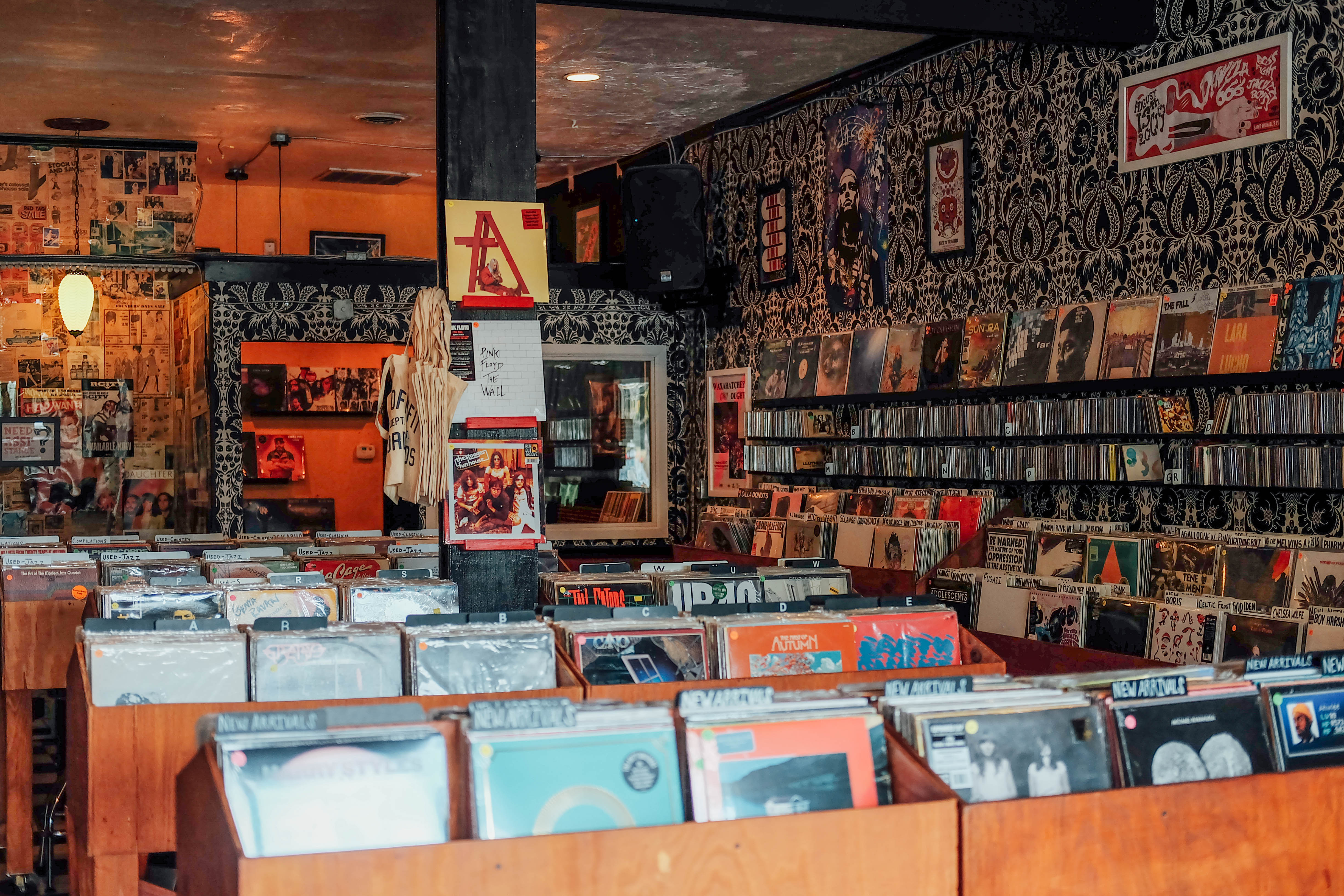 dscf0149jpg by Sharod Bines