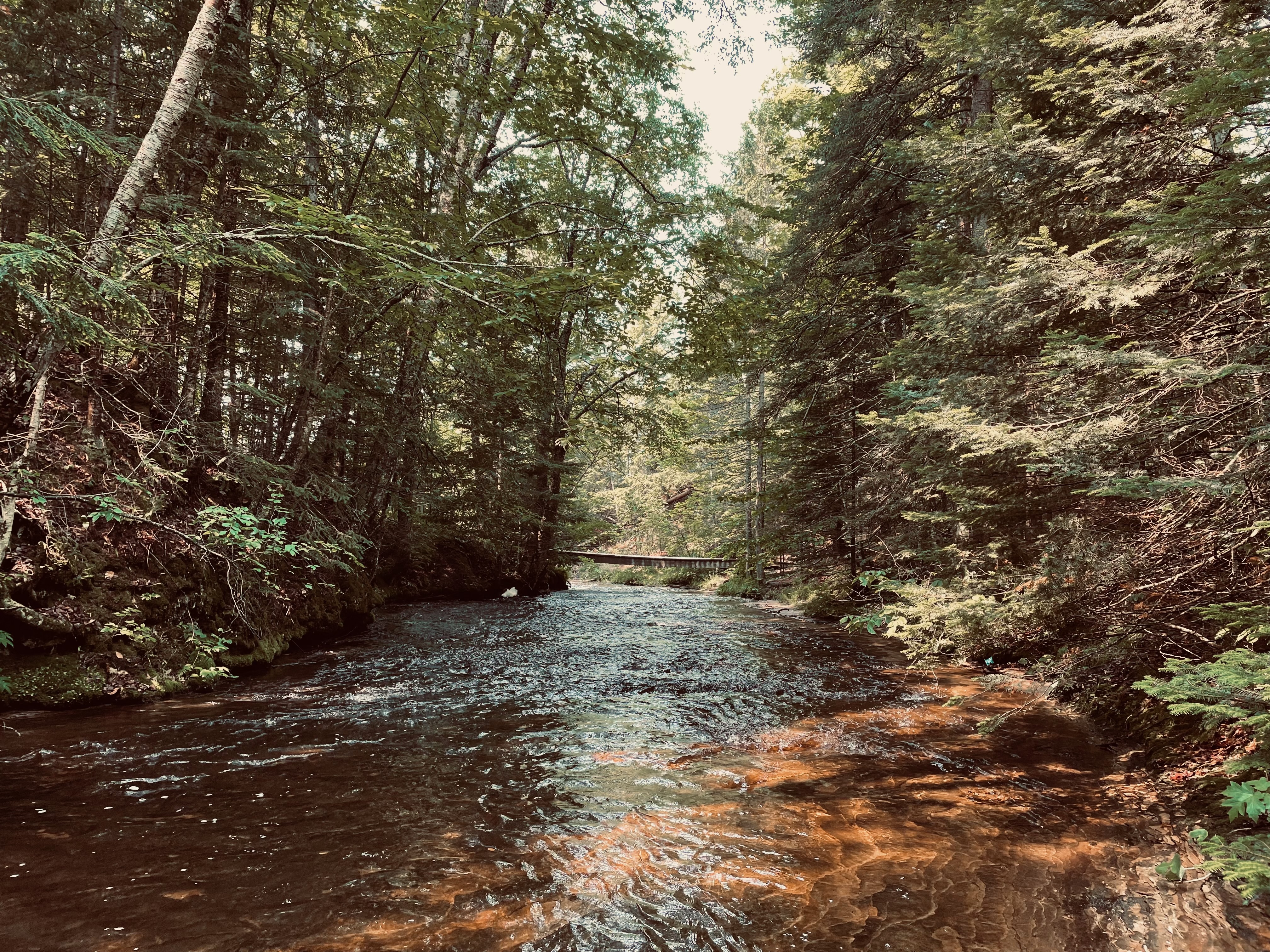 Pictured Rocks National Lakeshore: Mosquito River