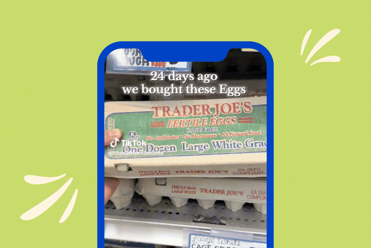 hatch chicks trader joes eggs?width=698&height=466&fit=crop&auto=webp&dpr=4