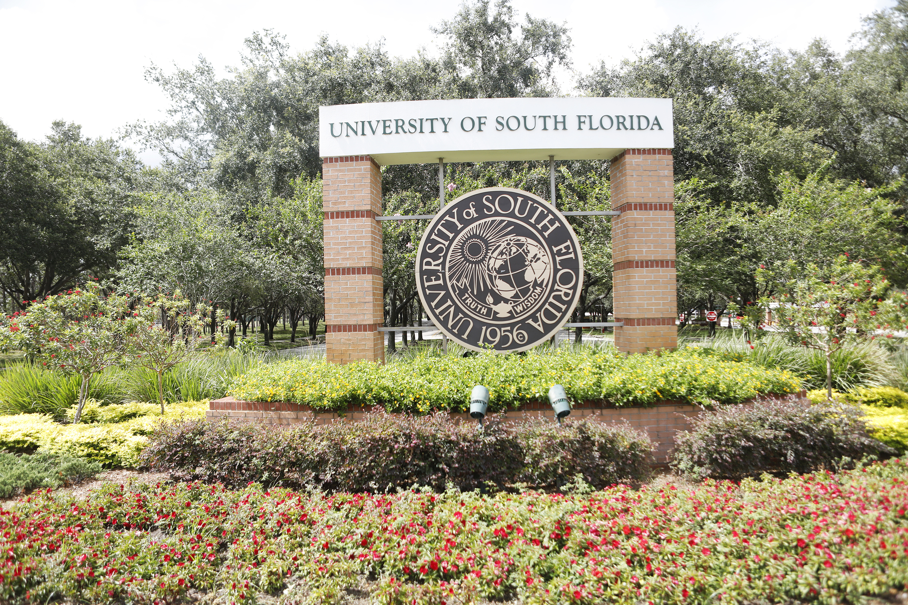 university south florida?width=698&height=466&fit=crop&auto=webp&dpr=4