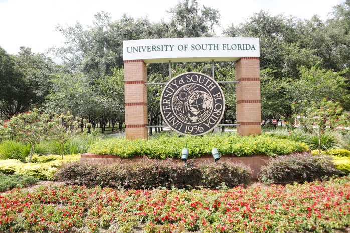 university south florida?width=698&height=466&fit=crop&auto=webp